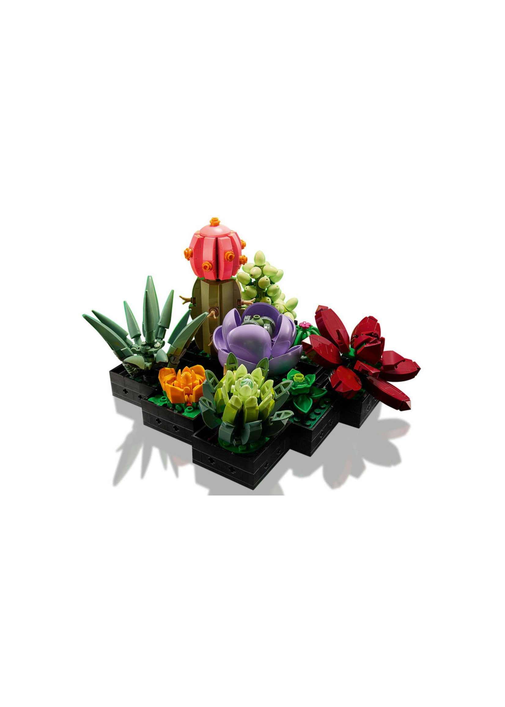 LEGO 10309 - Succulents