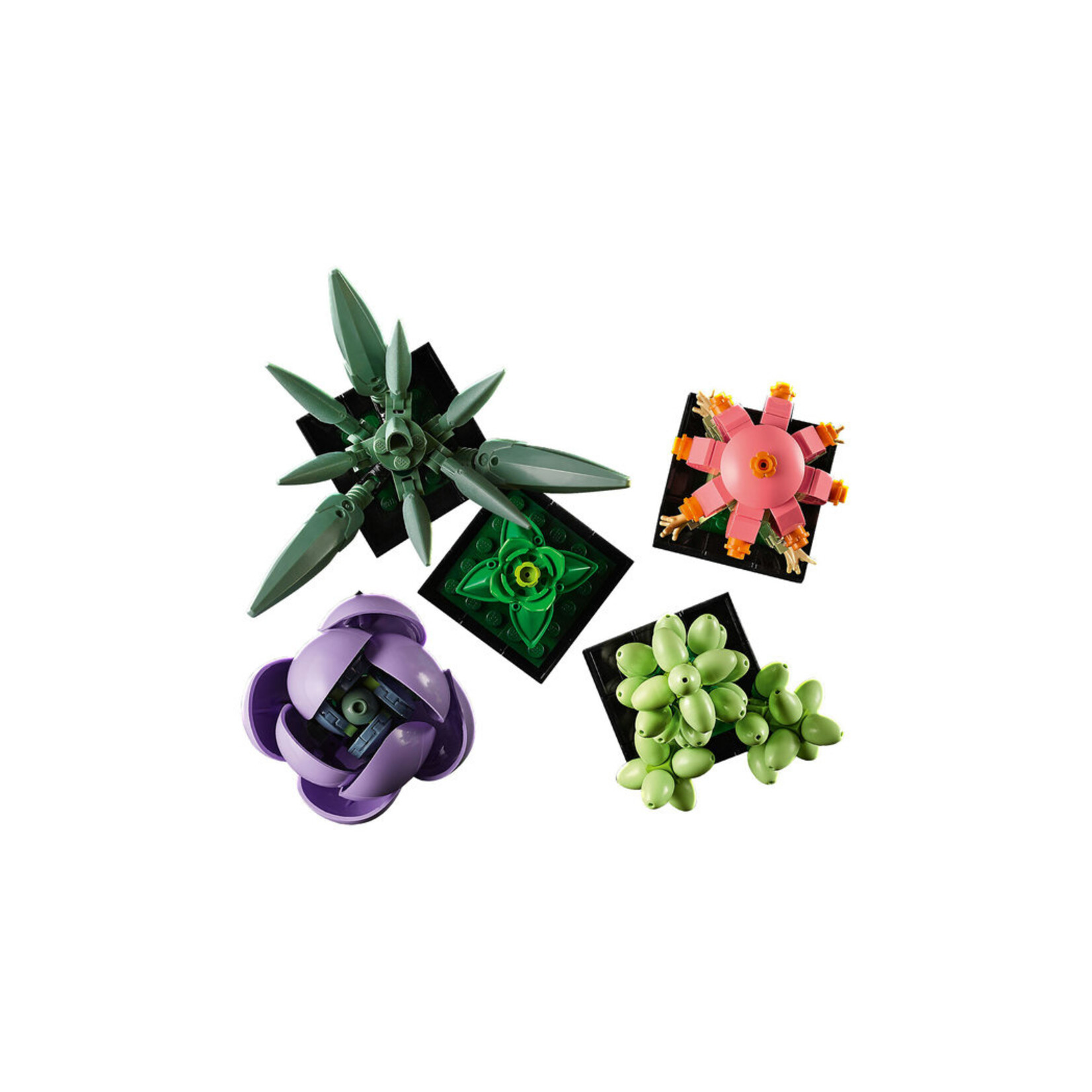 LEGO® Botanicals 10309 - Succulents