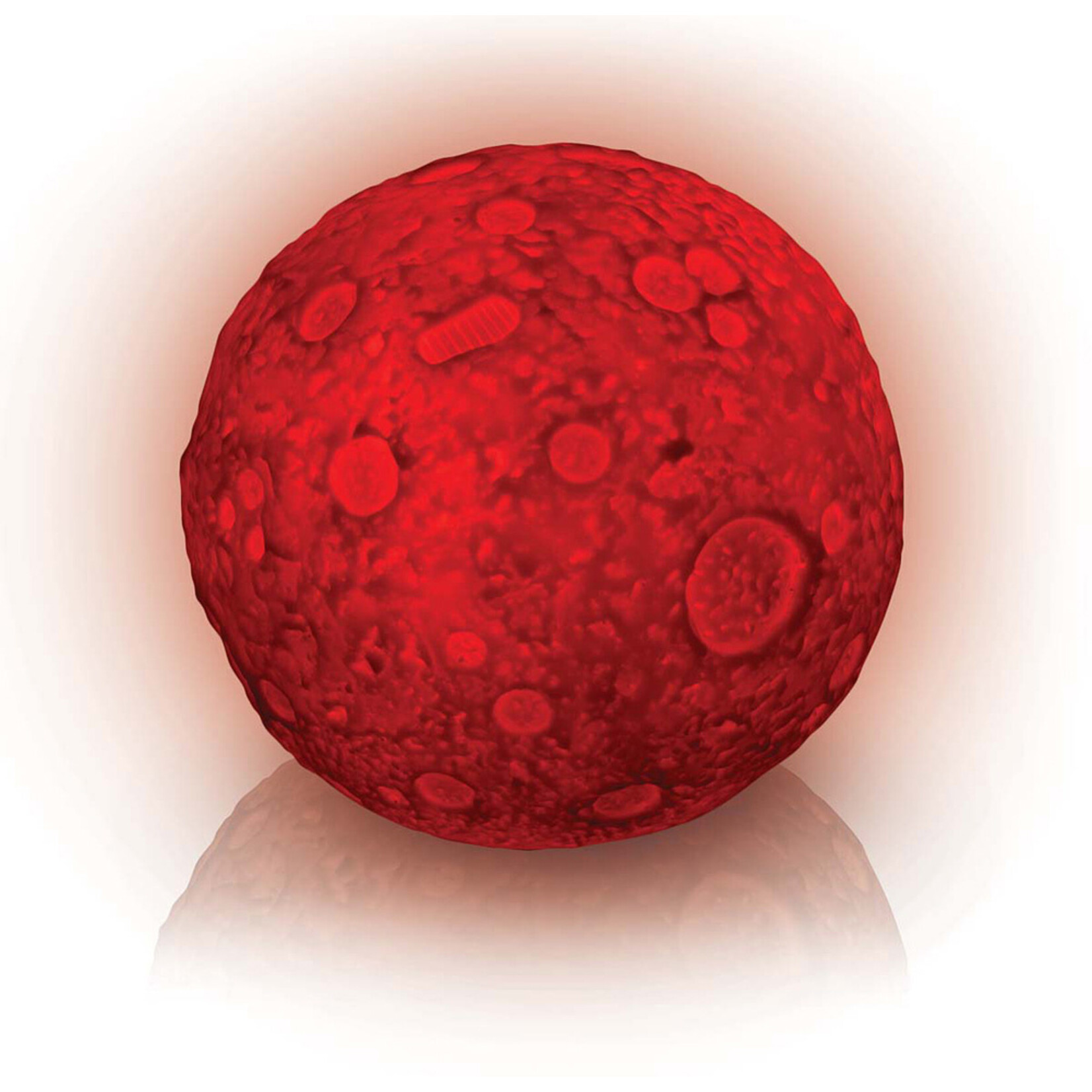 Toysmith Lunar Light Show /4 3814