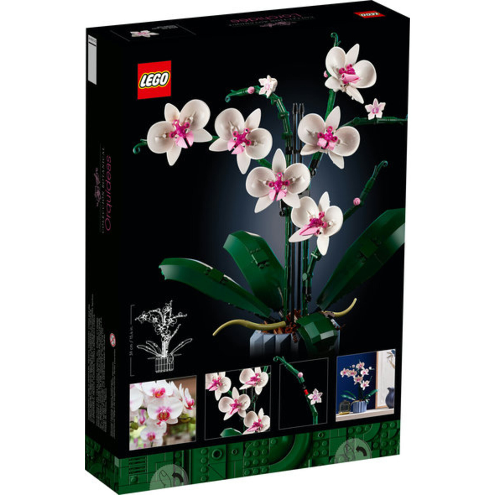 LEGO® Botanicals 10311 - Orchid