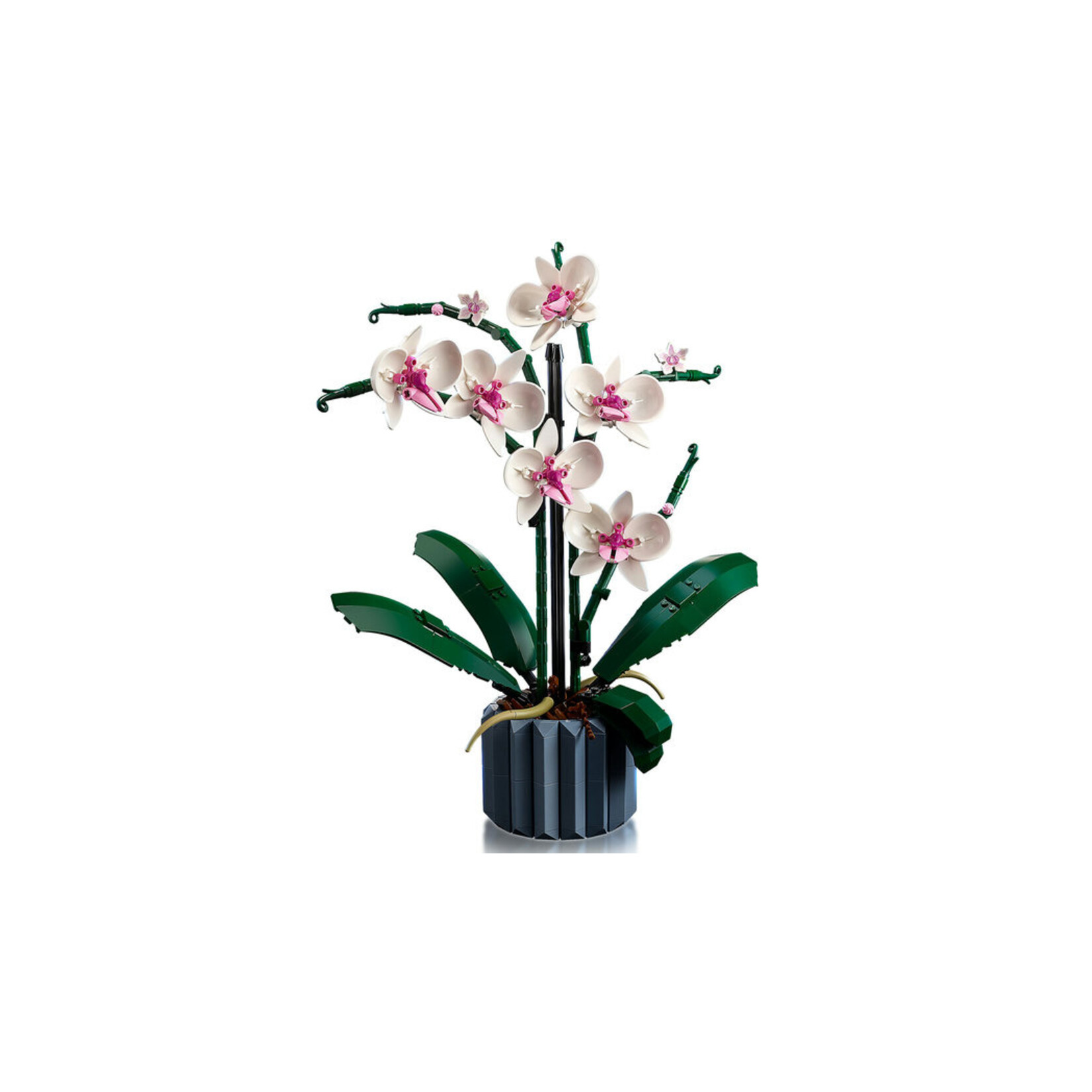 LEGO® Botanicals 10311 - Orchid