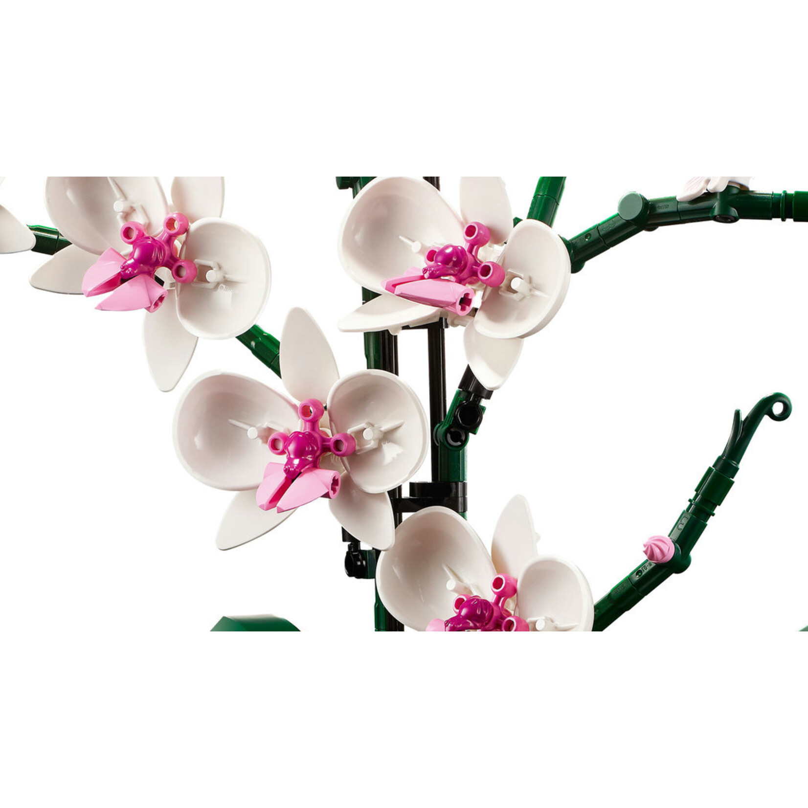 LEGO® Botanicals 10311 - Orchid