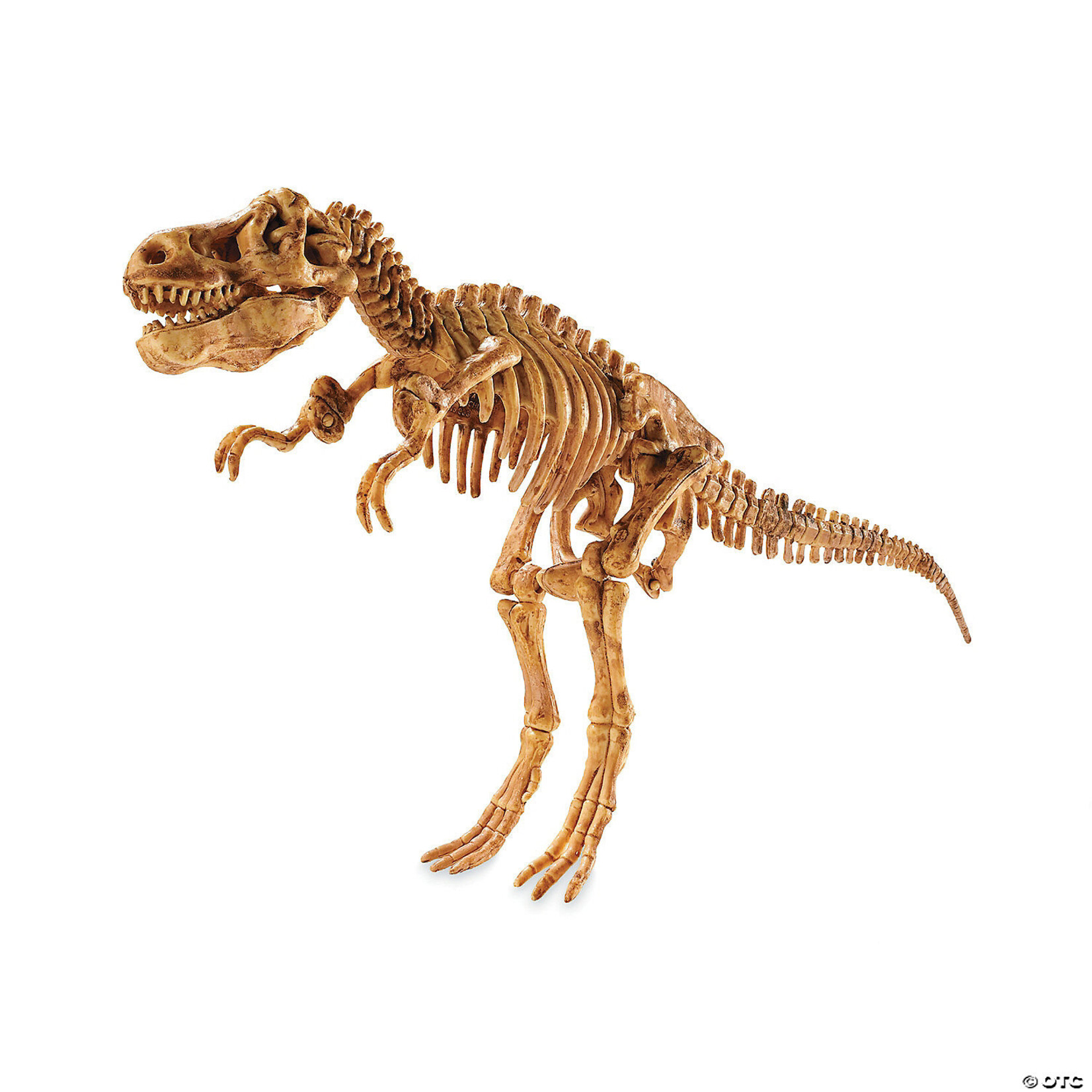 Mindware Dig It Up! 3D T-Rex Skeleton