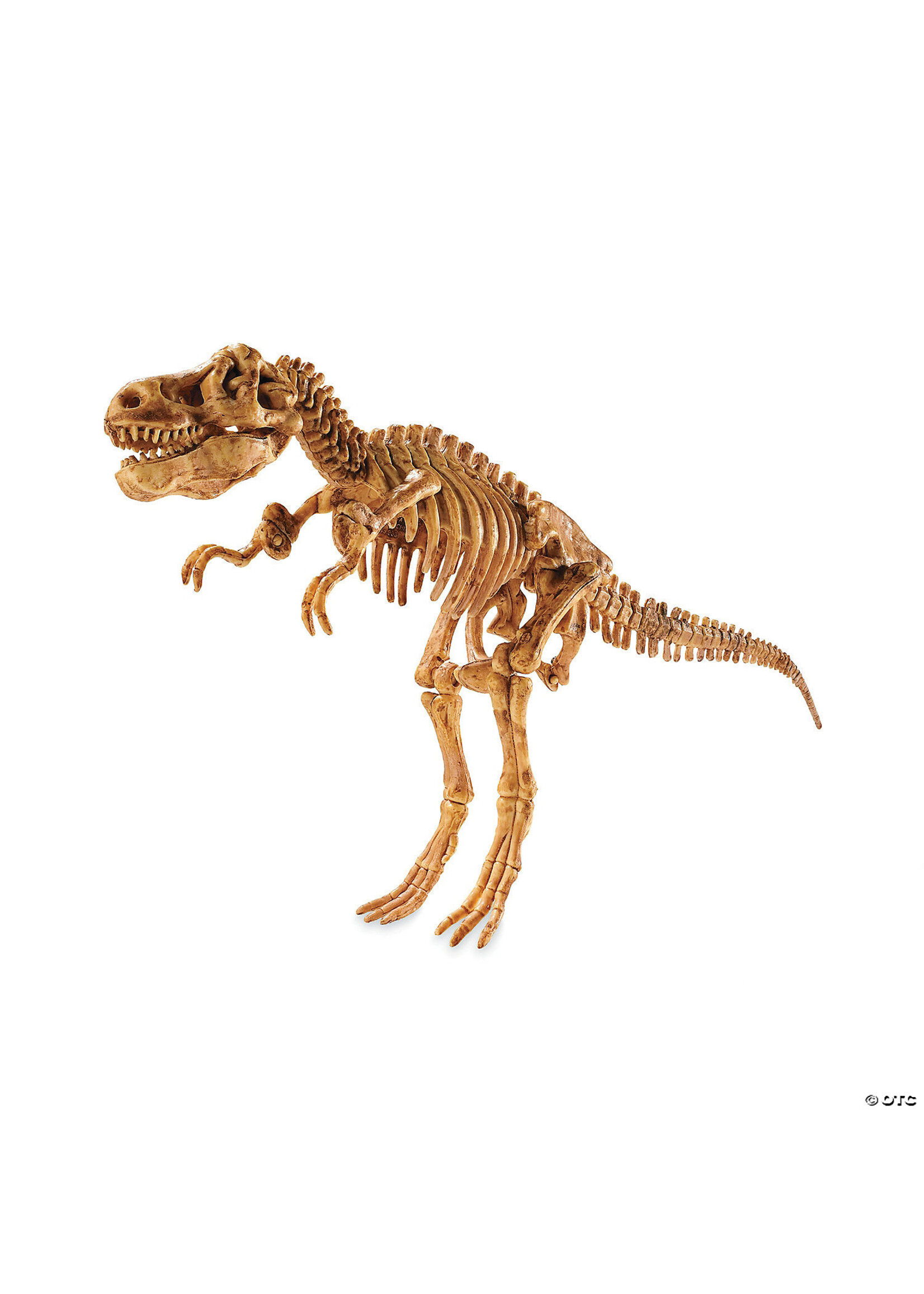 Mindware Dig It Up! 3D T-Rex Skeleton