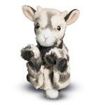 Douglas Grey Goat - Lil' Handful