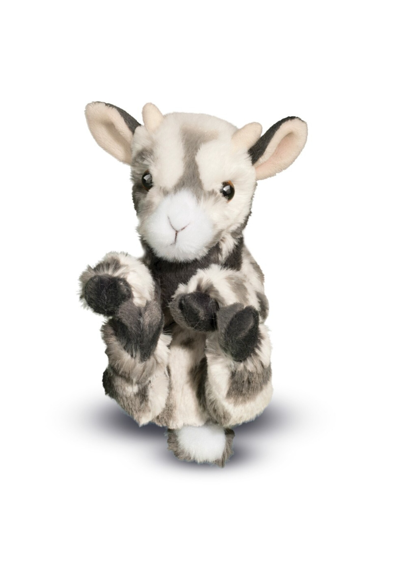 Douglas Grey Goat - Lil' Handful