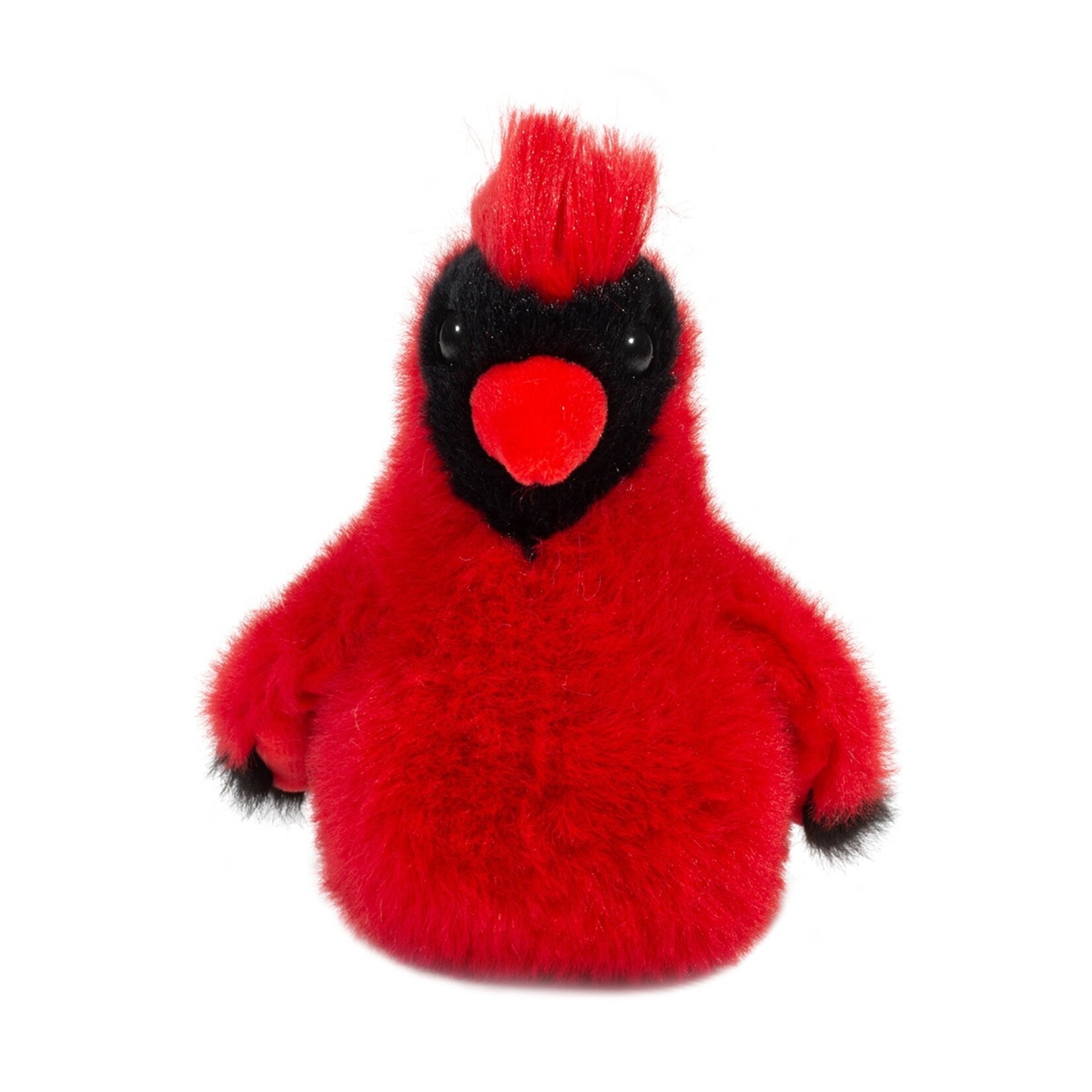 Douglas Carmine Cardinal