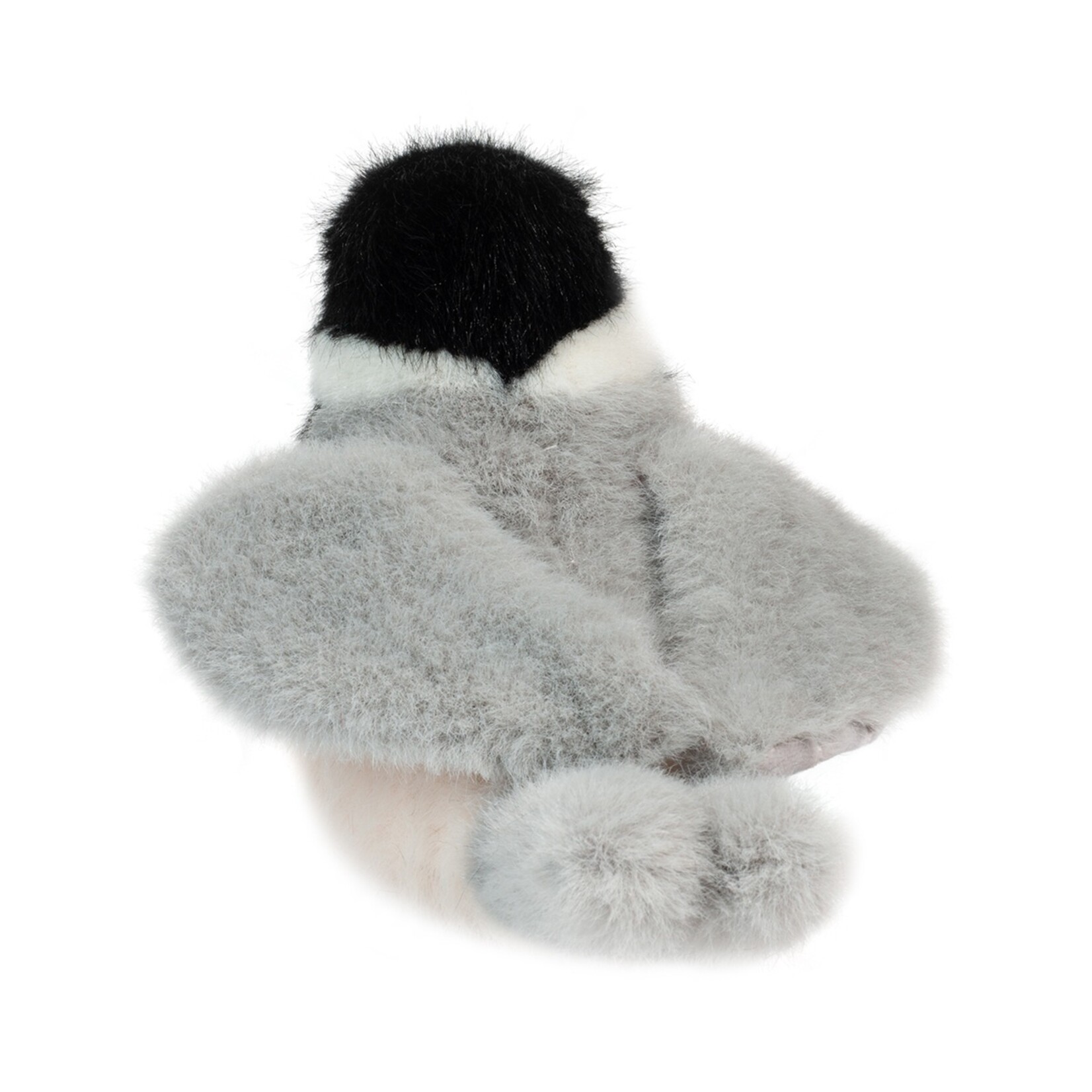 Douglas Chipper Chickadee