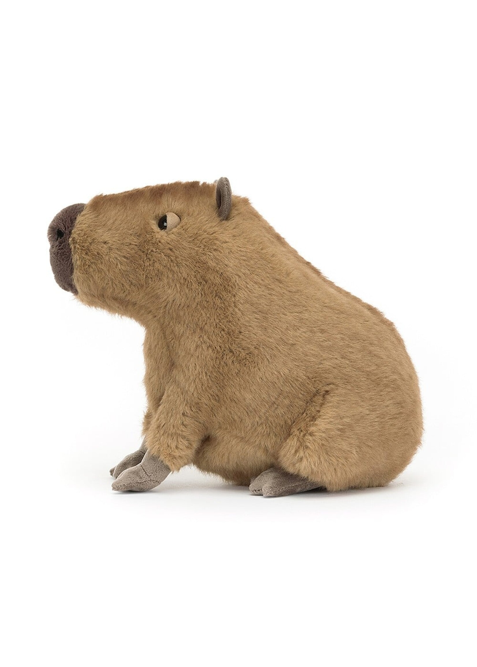 Jellycat Clyde Capybara