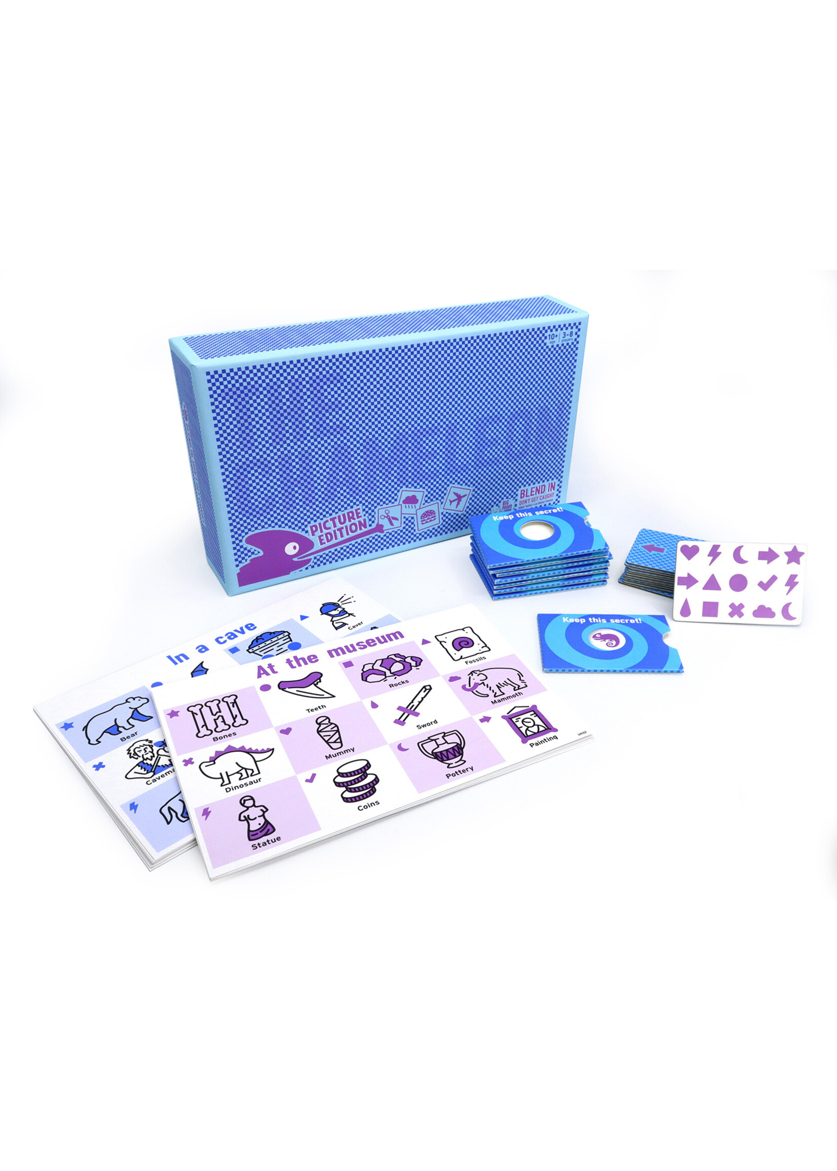 Gamewright The Chameleon: Picture Edition Game