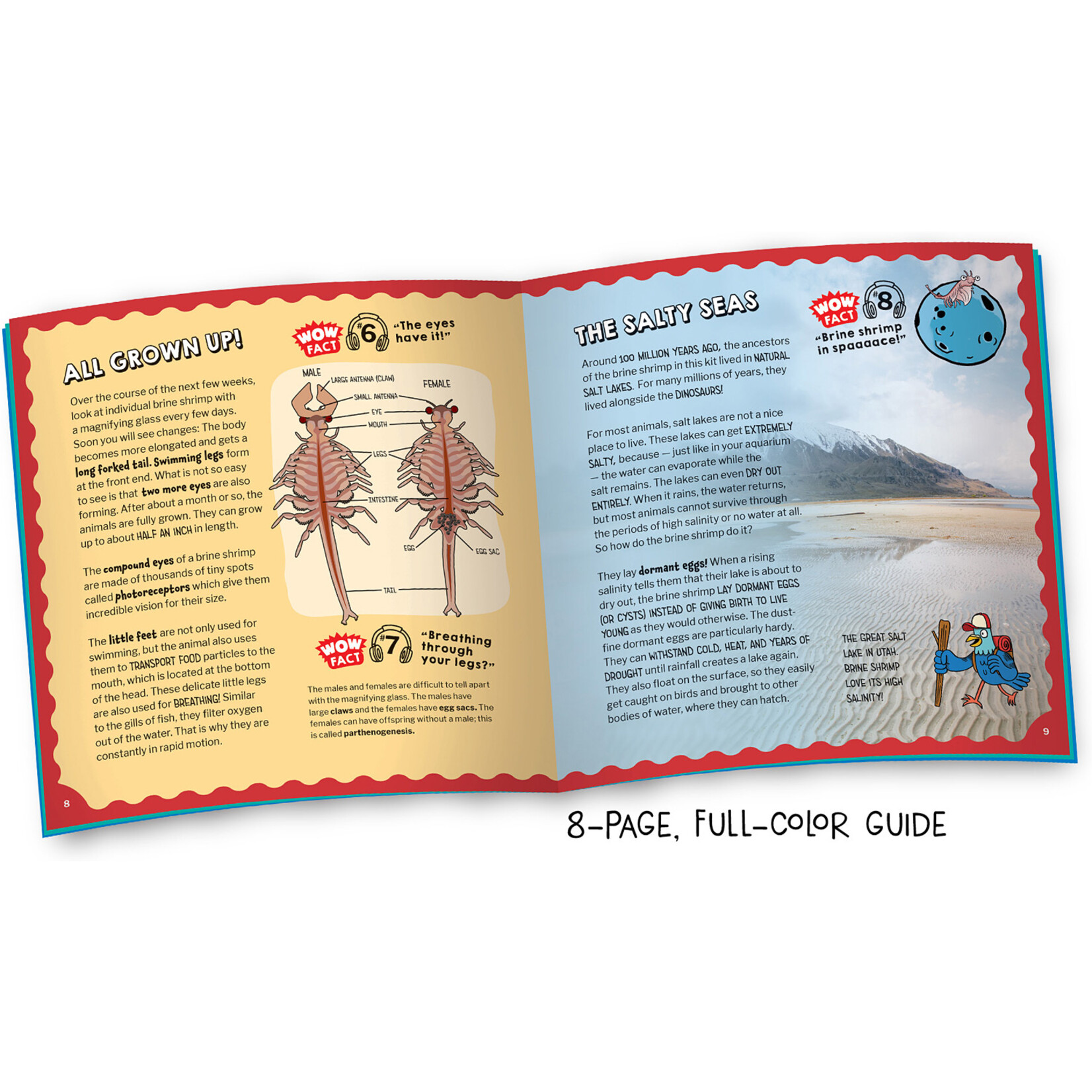 Thames & Kosmos Wow in the World: Sea Creatures Aquarium