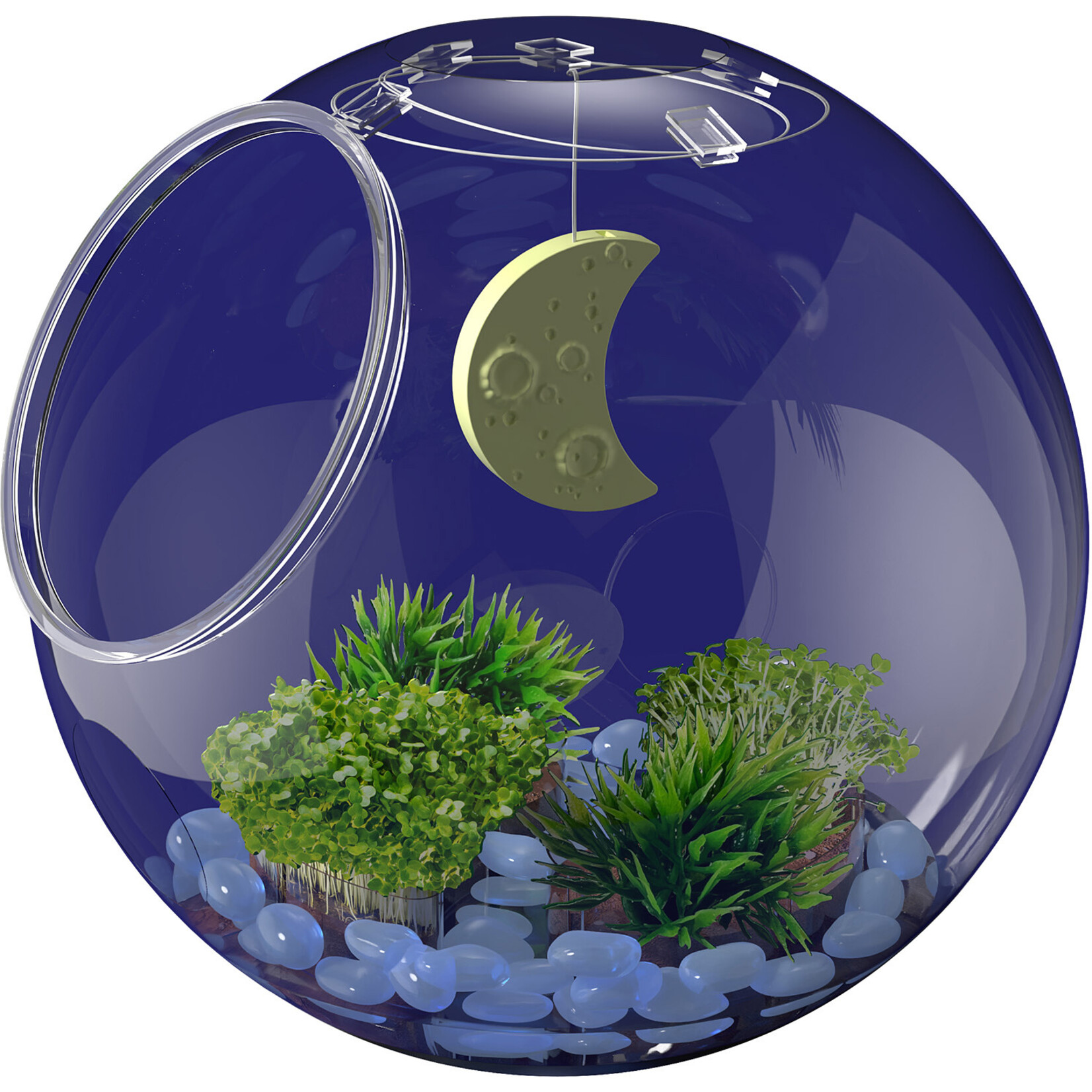 Thames & Kosmos Wow in the World: Light-Up Terrarium