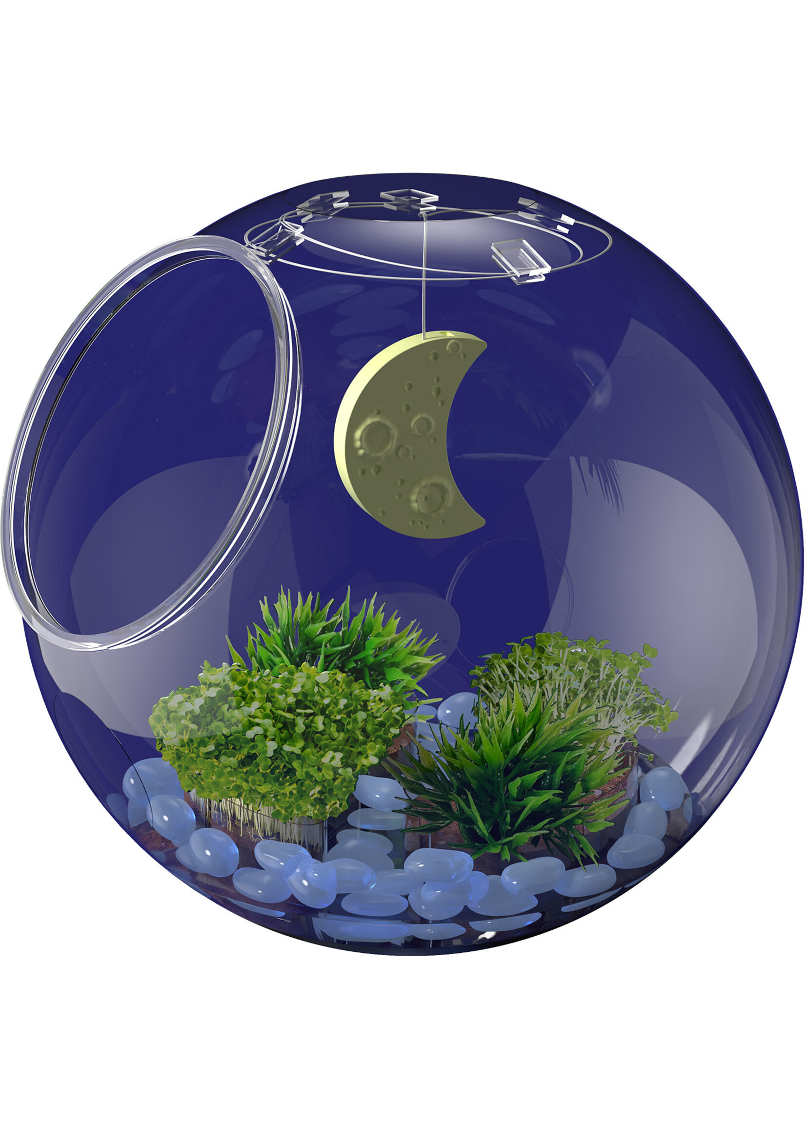 Thames & Kosmos Wow in the World: Light-Up Terrarium