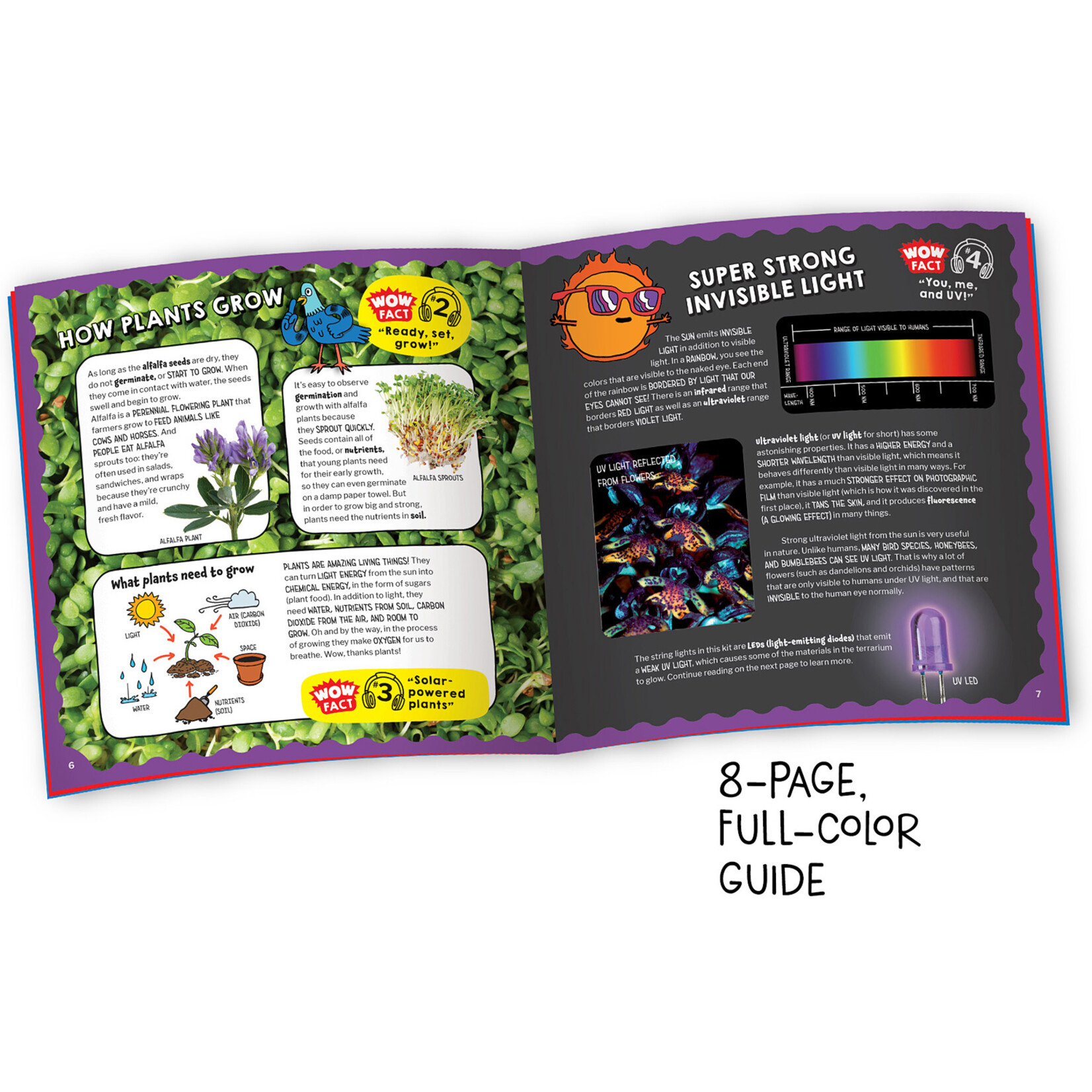 Thames & Kosmos Wow in the World: Light-Up Terrarium