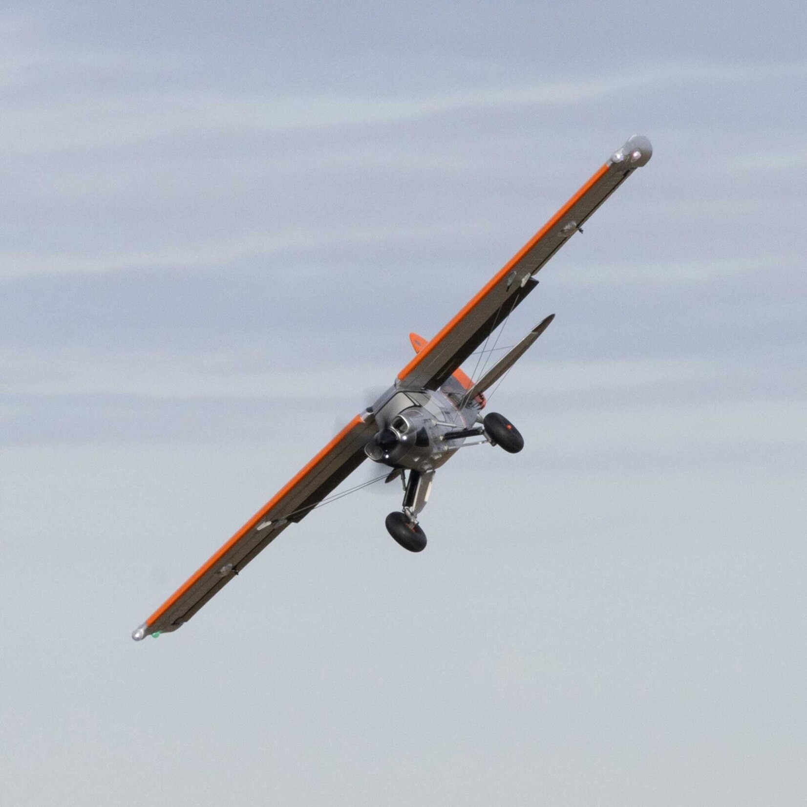 E-flite EFL02150D - Micro Scappy 800mm BNF Basic with AS3X & SAFE Select