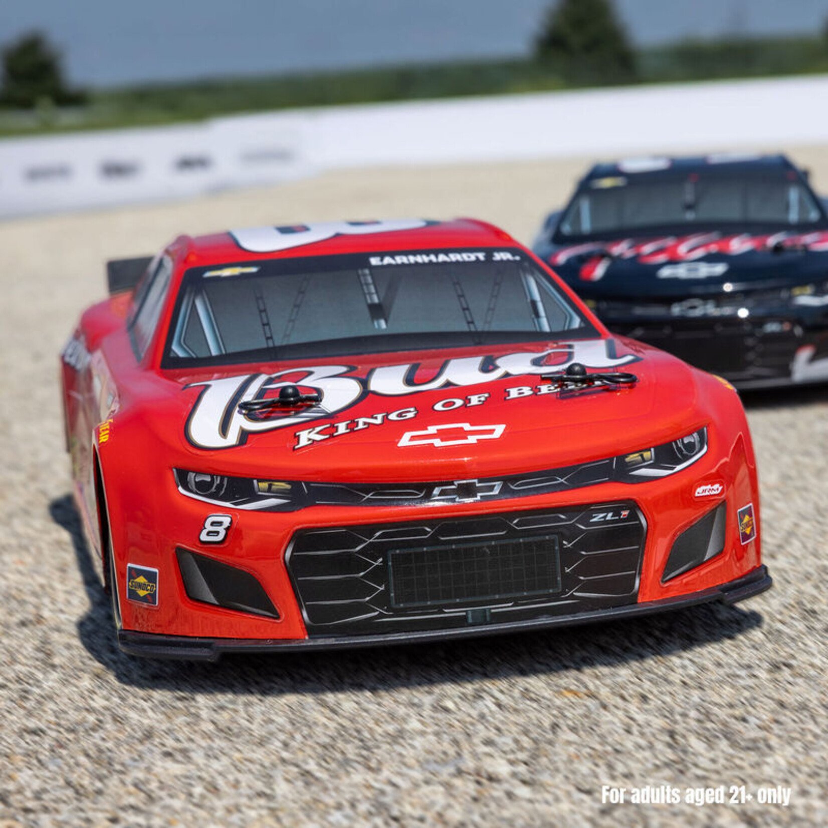Losi LOSF1122508  - 1/12 NASCAR  Dale Earnhardt Jr. No. 8 Budweiser Chevrolet,  RTR - Red
