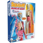 Smart Lab Squishy Human Body