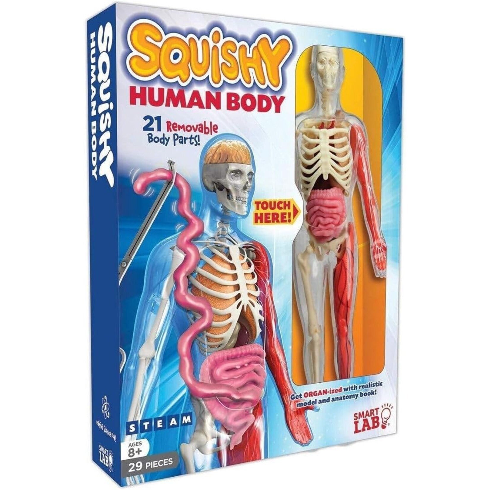 Smart Lab Squishy Human Body