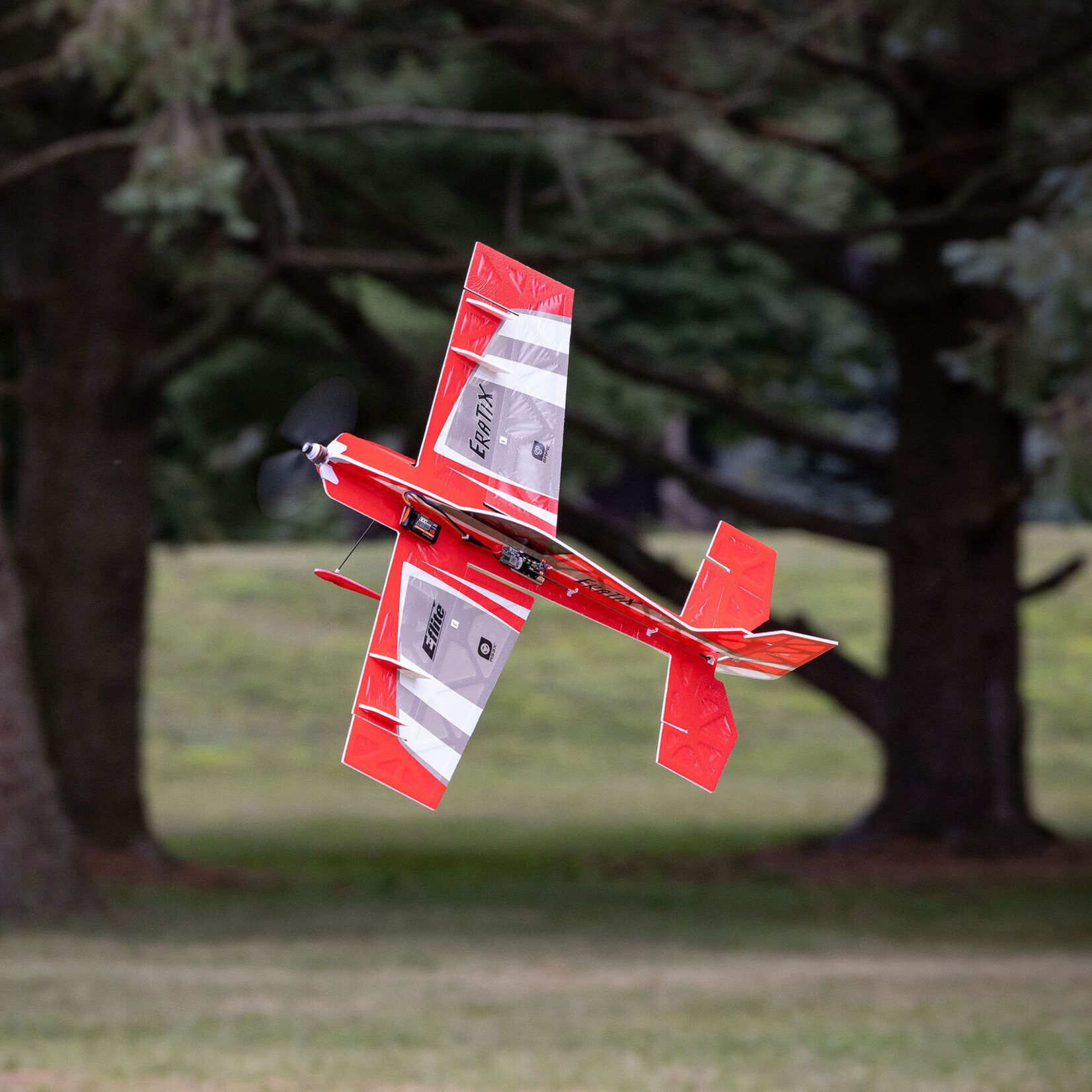 E-flite EFLU02050 - UMX Eratix 3D FF 450mm BNF Basic with AS3X & SAFE