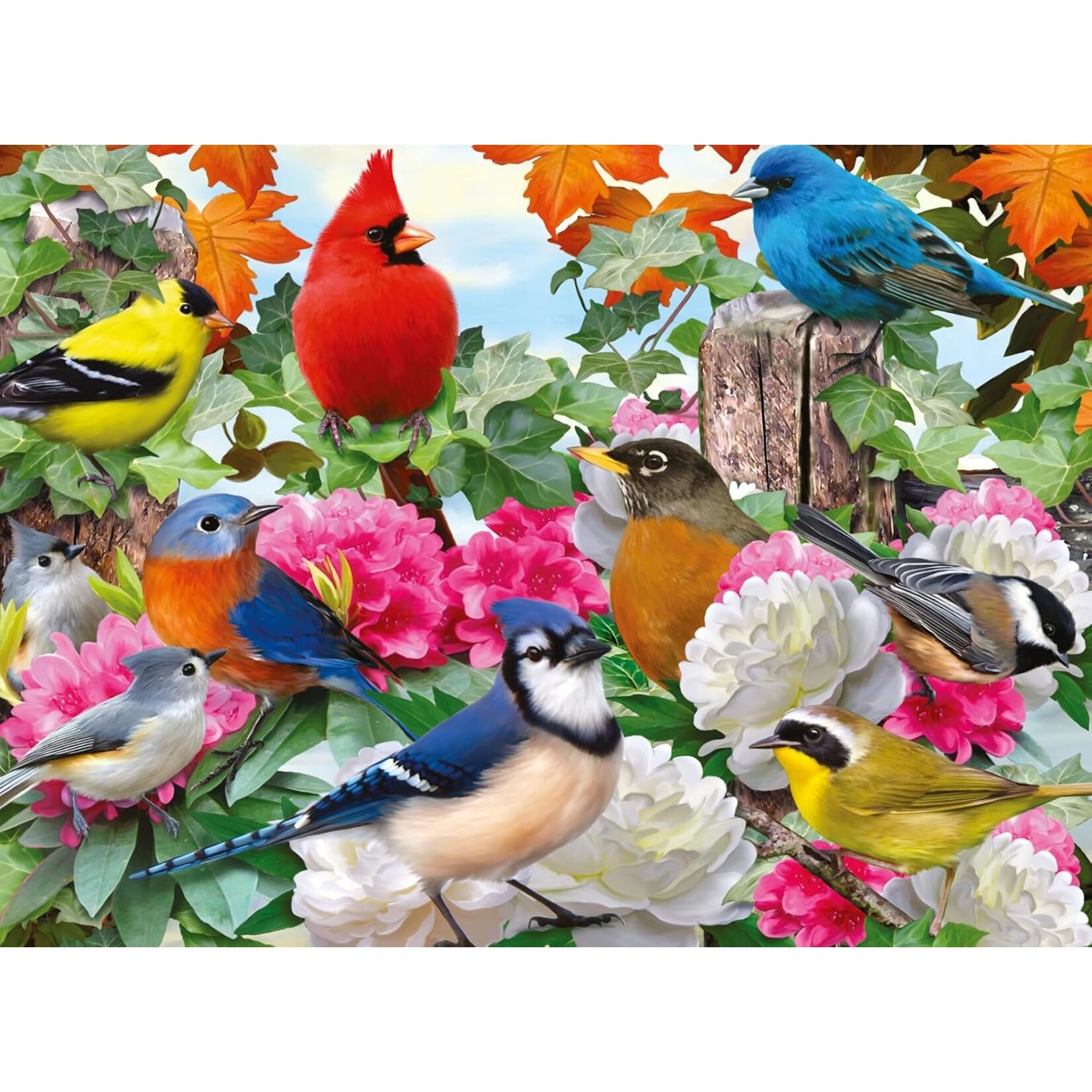 Ravensburger Garden Birds - 500 Piece Puzzle