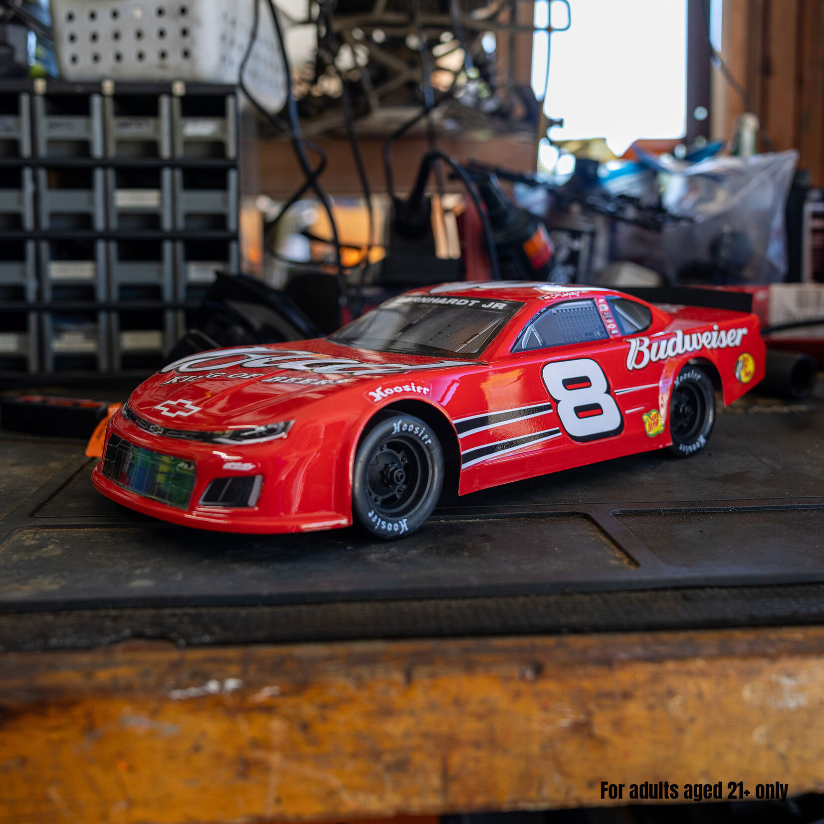 Losi LOS-3104T2 1:12 ALM RC Race Car Dale Earnhardt Jr. #8 2025 Budweiser