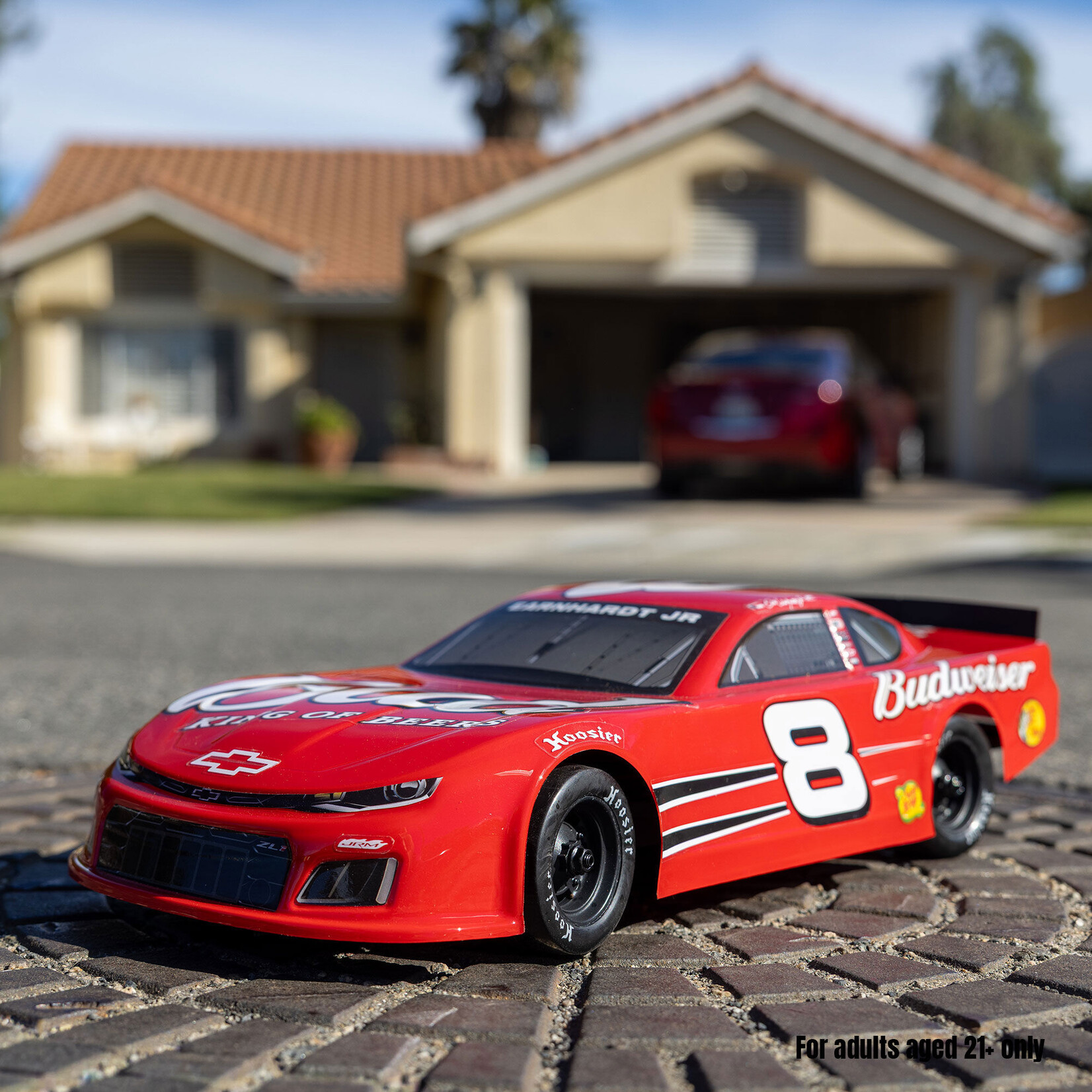 Losi LOS-3104T2 1:12 ALM RC Race Car Dale Earnhardt Jr. #8 2025 Budweiser
