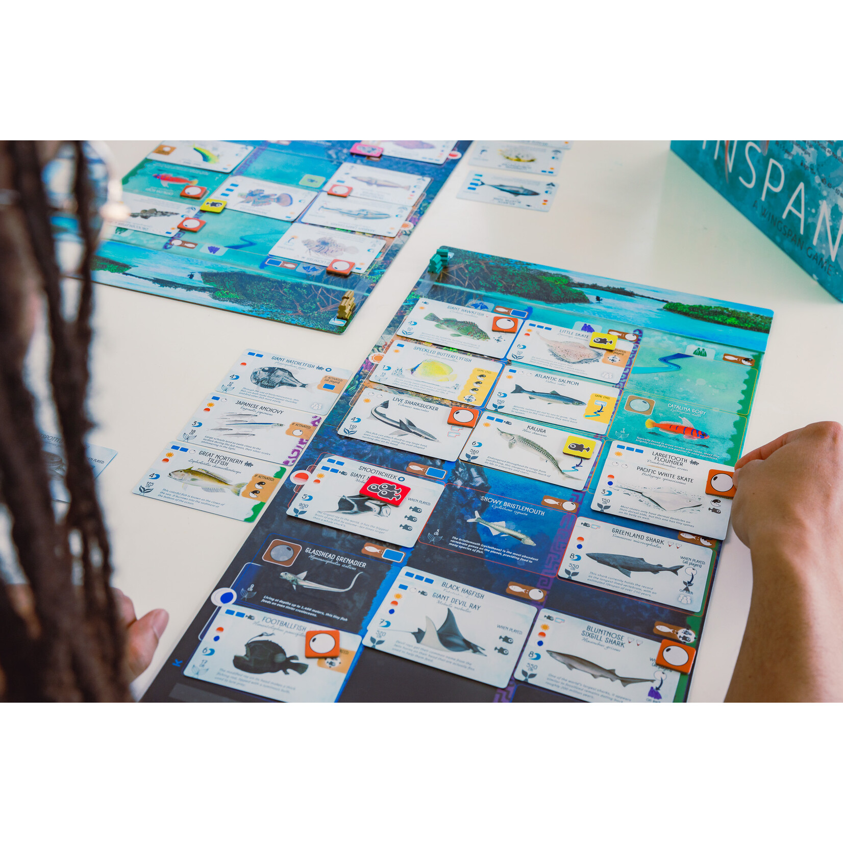 Stonemaier Games Finspan