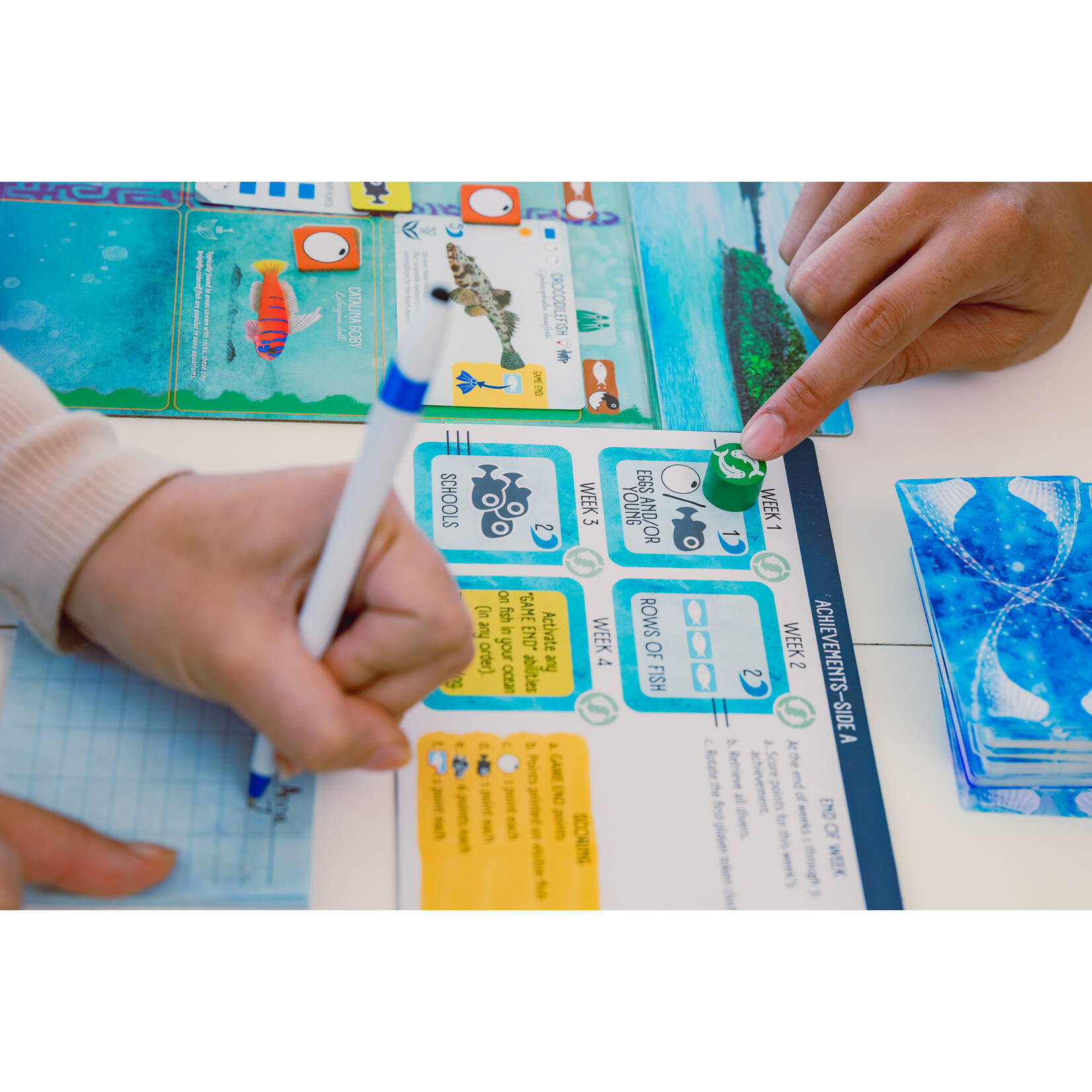 Stonemaier Games Finspan
