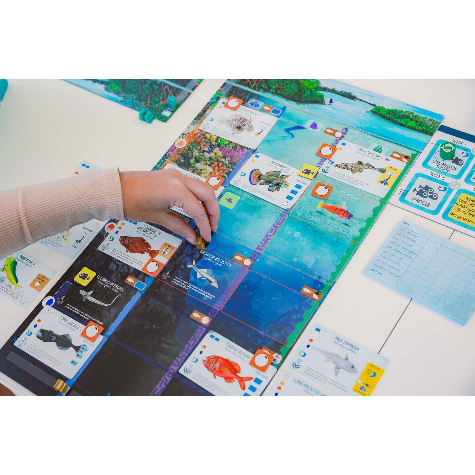 Stonemaier Games Finspan