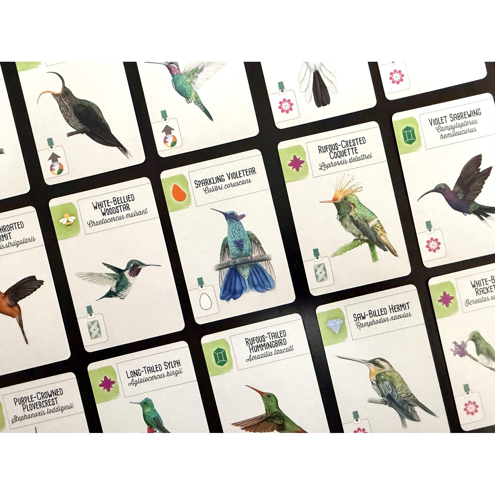 Stonemaier Games Wingspan Americas Expansion