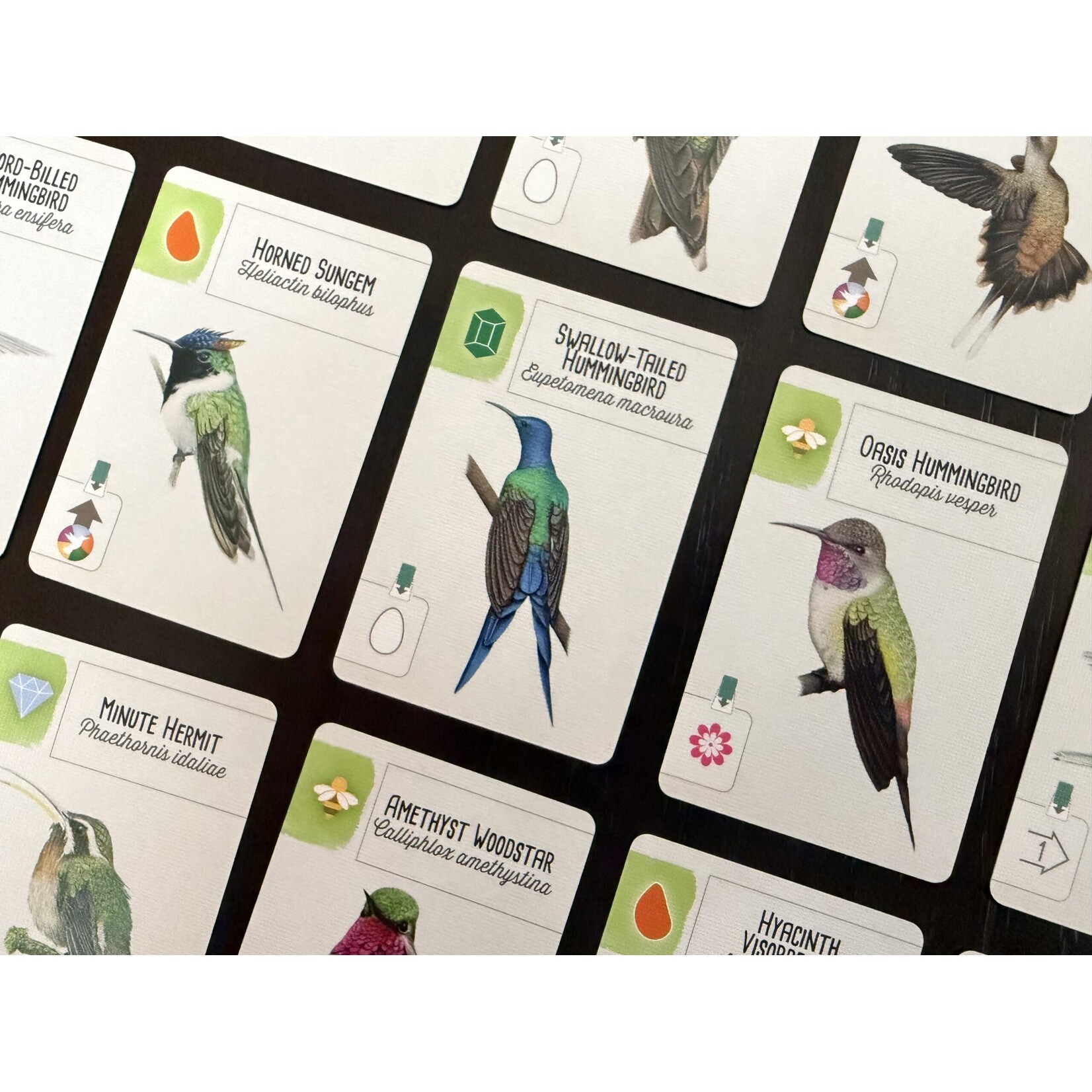 Stonemaier Games Wingspan Americas Expansion