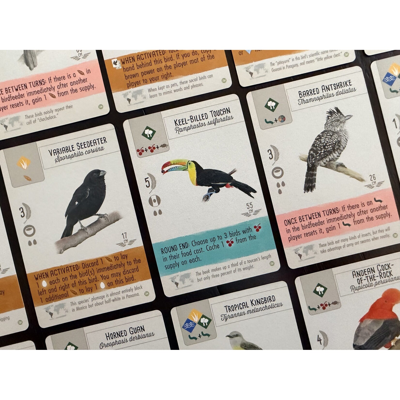 Stonemaier Games Wingspan Americas Expansion