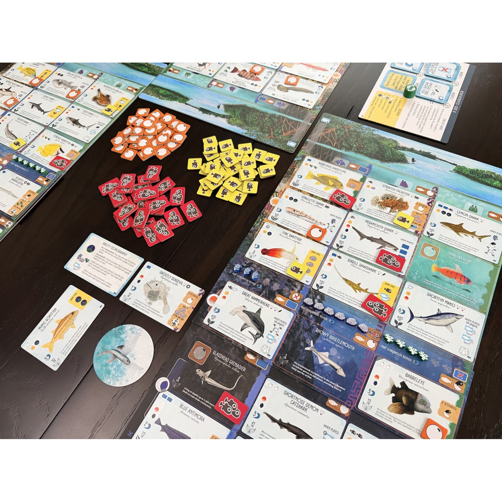 Stonemaier Games Finspan Sharks & Reefs Expansion