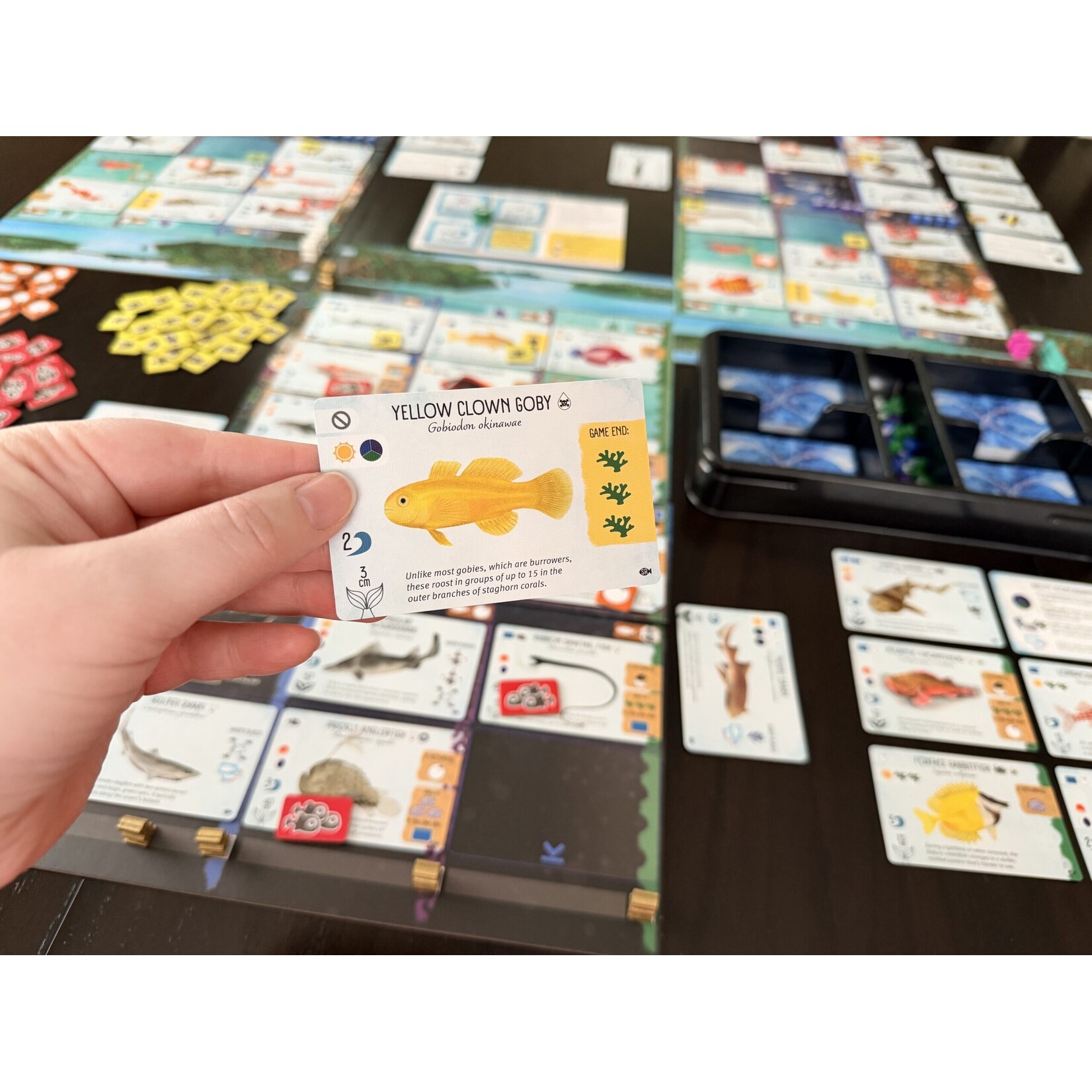 Stonemaier Games Finspan Sharks & Reefs Expansion