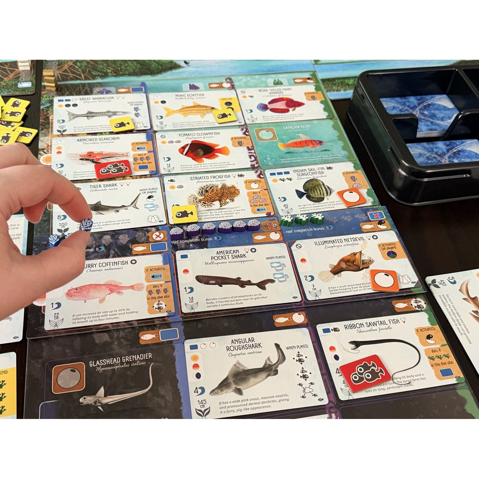 Stonemaier Games Finspan Sharks & Reefs Expansion