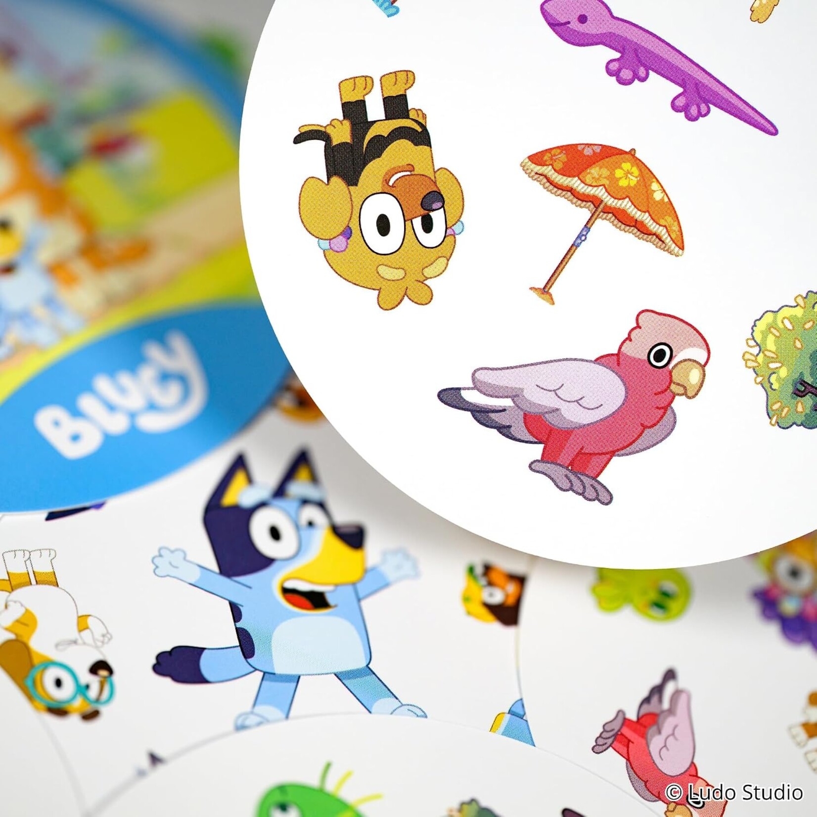 Asmodee Spot it! Bluey