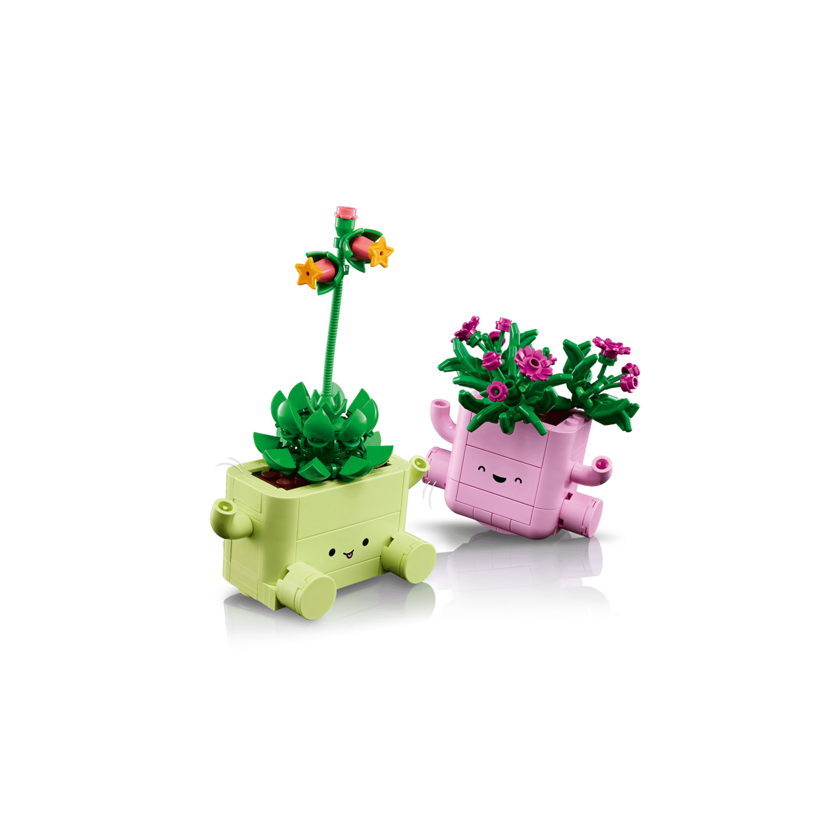 LEGO® 11506 - Rocking Plants Botanicals Building Set