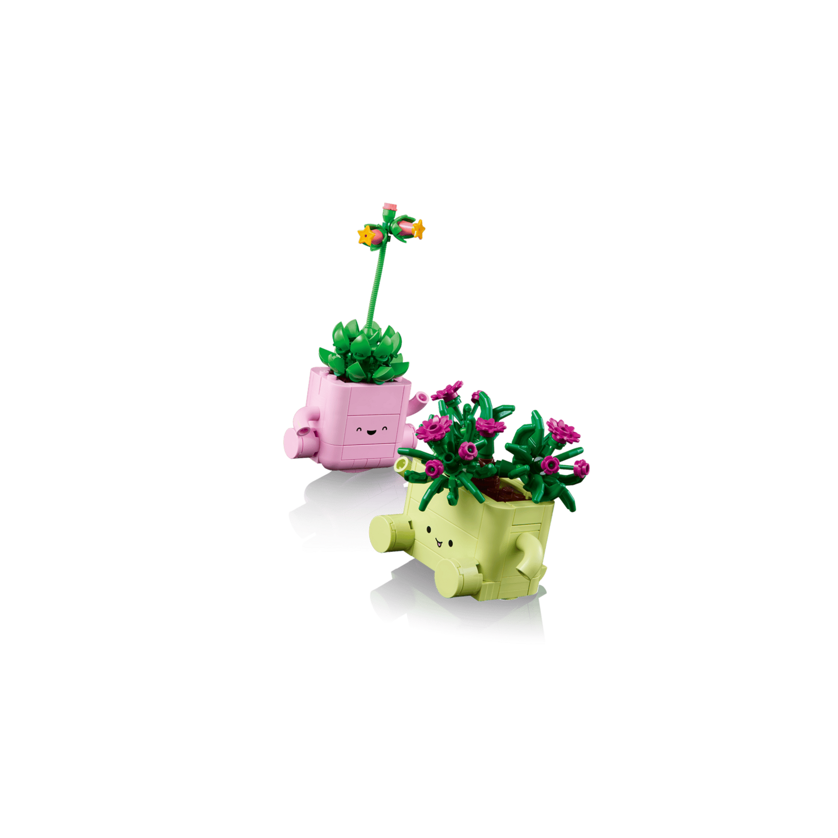 LEGO® 11506 - Rocking Plants Botanicals Building Set