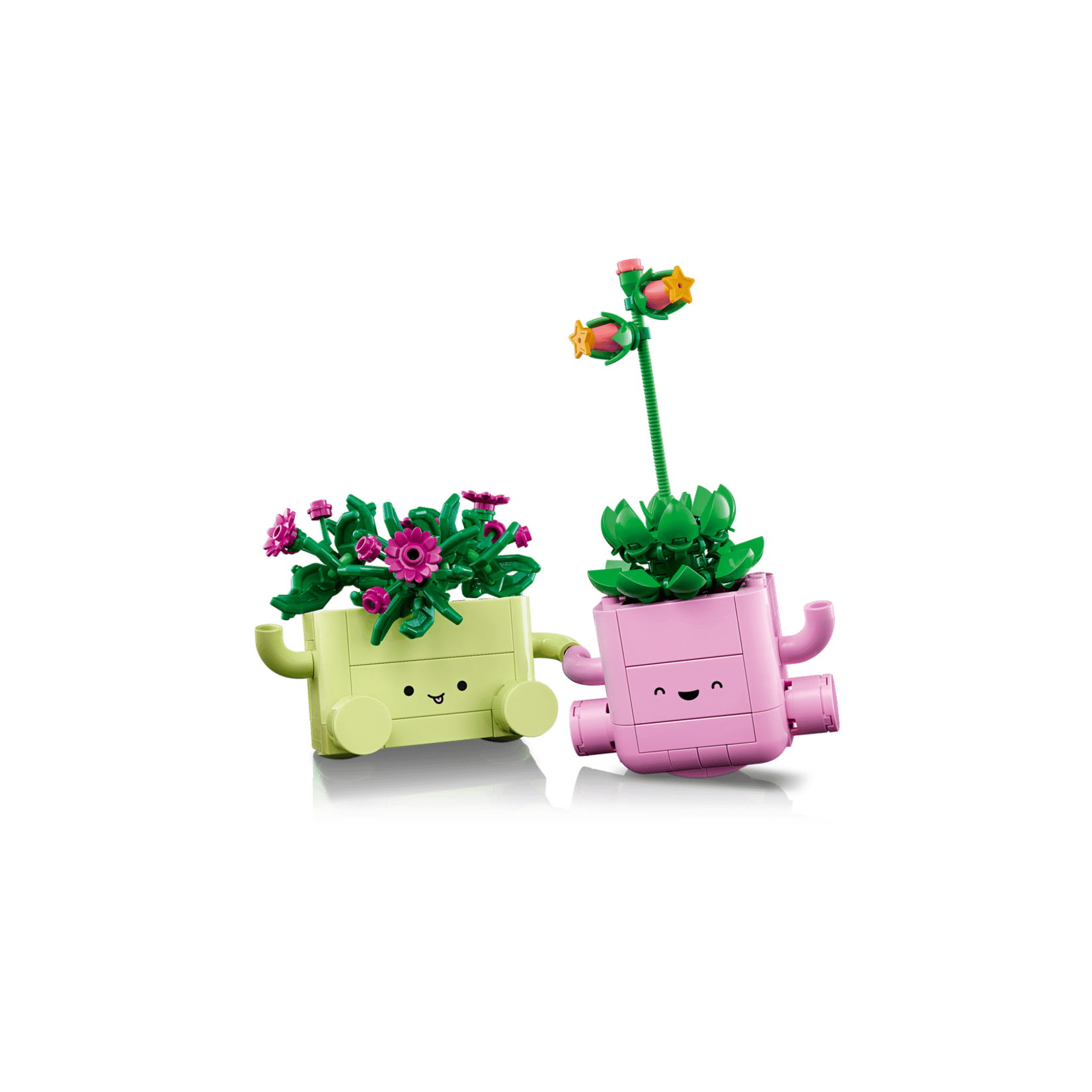 LEGO® 11506 - Rocking Plants Botanicals Building Set