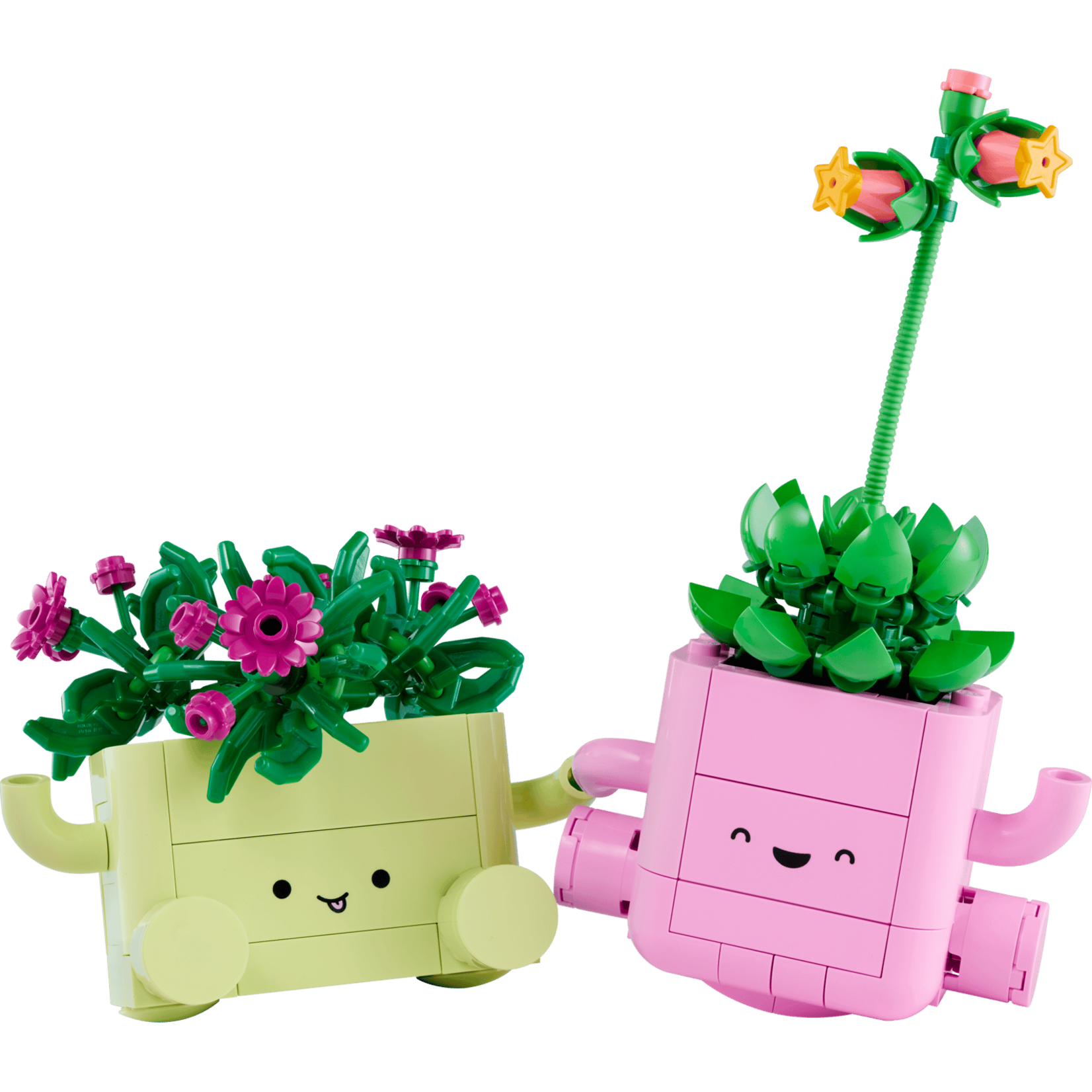 LEGO® 11506 - Rocking Plants Botanicals Building Set