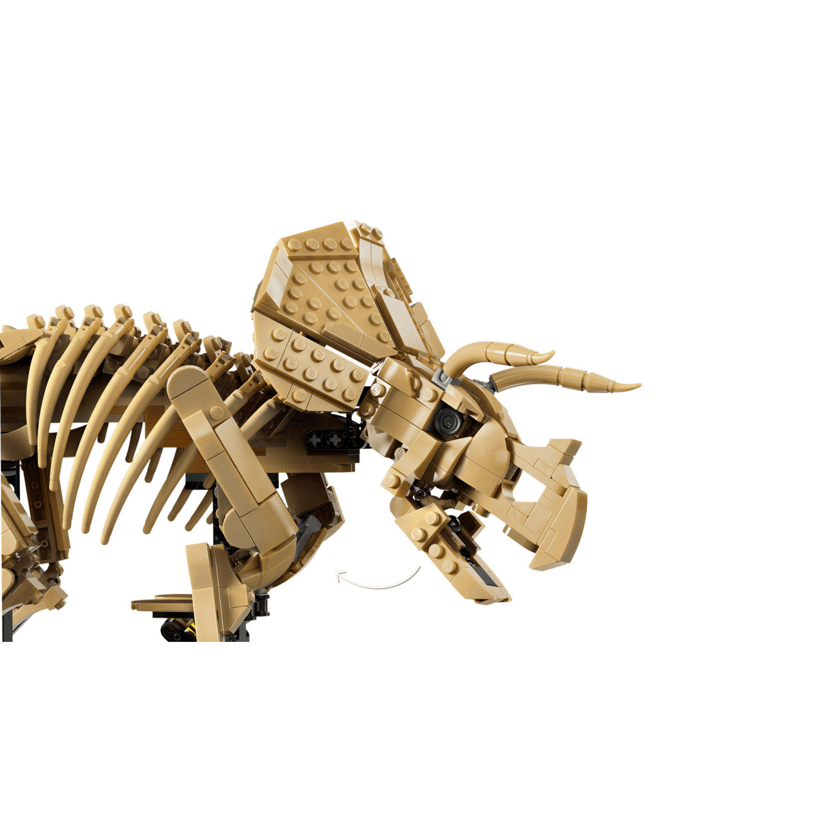 LEGO® 77985 - Dinosaur Fossils: Triceratops Jurassic World Building Set