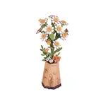 Hands Craft Flower - Chamomile