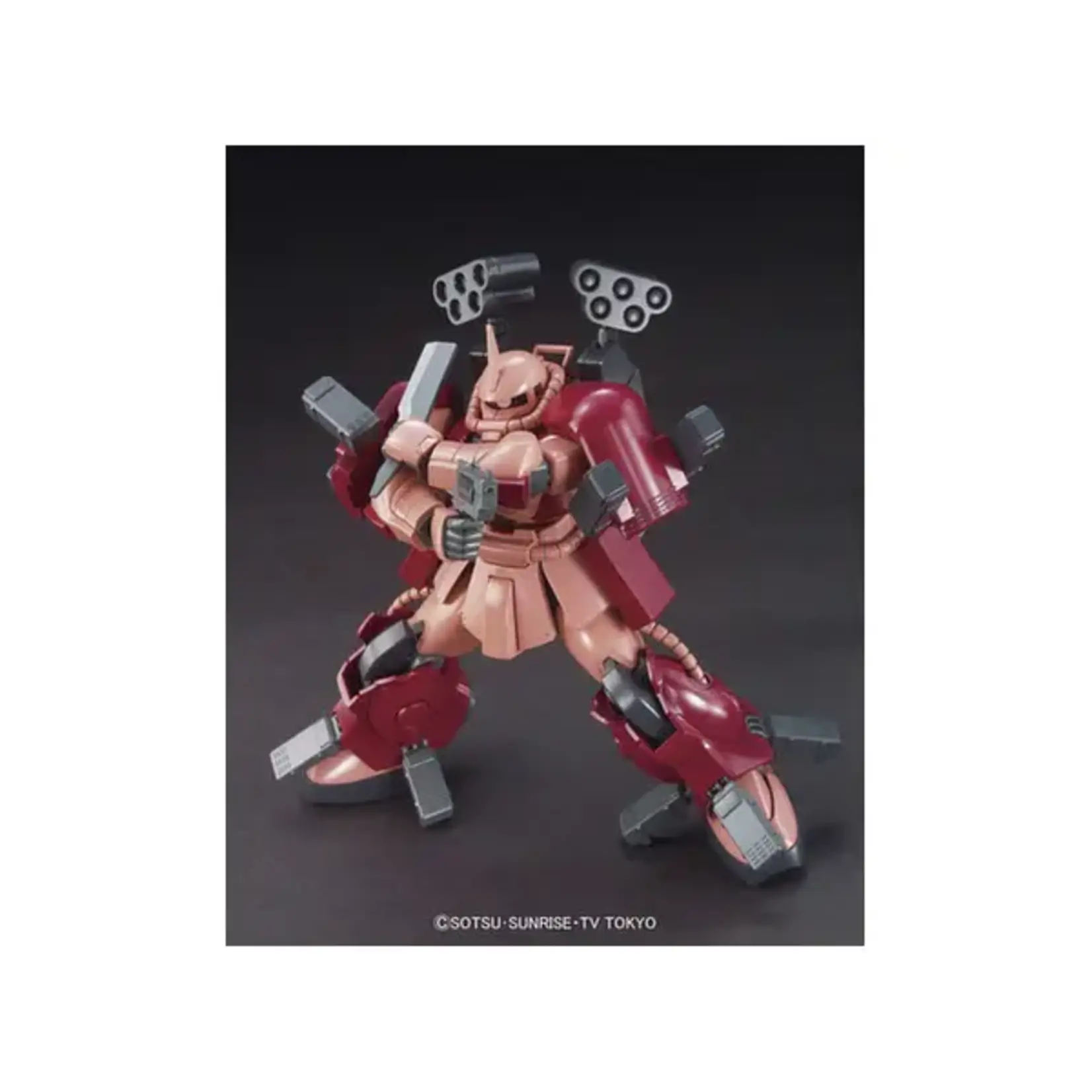 Bandai 5055431 #02 Zaku Amazing HGBF