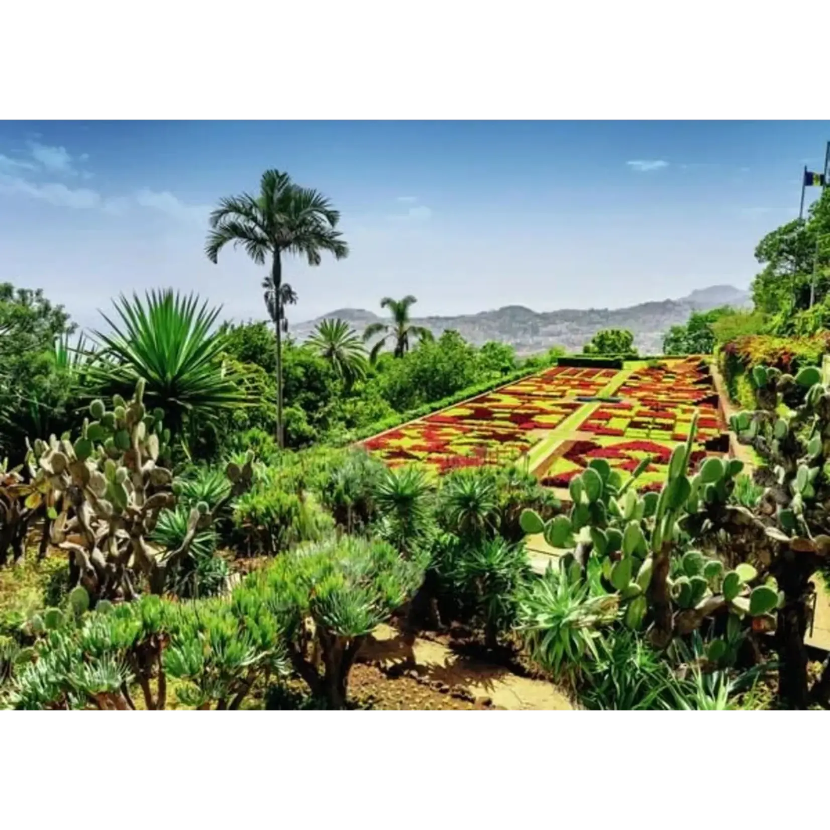 Ravensburger Botanical Garden, Maderia - 1000 Piece