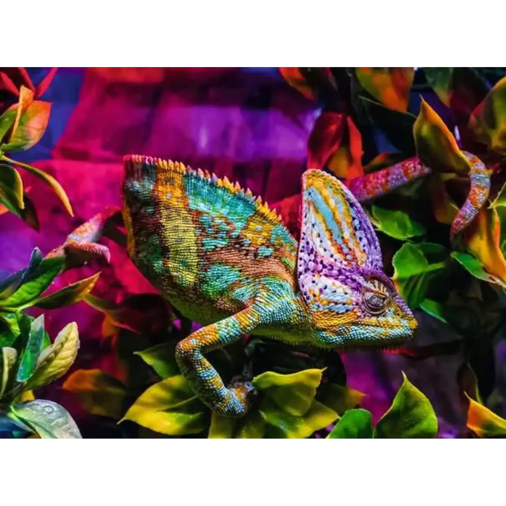 Ravensburger Chameleon - 500 Piece