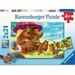 Ravensburger Bear Family Vacations - 2x24 Piece