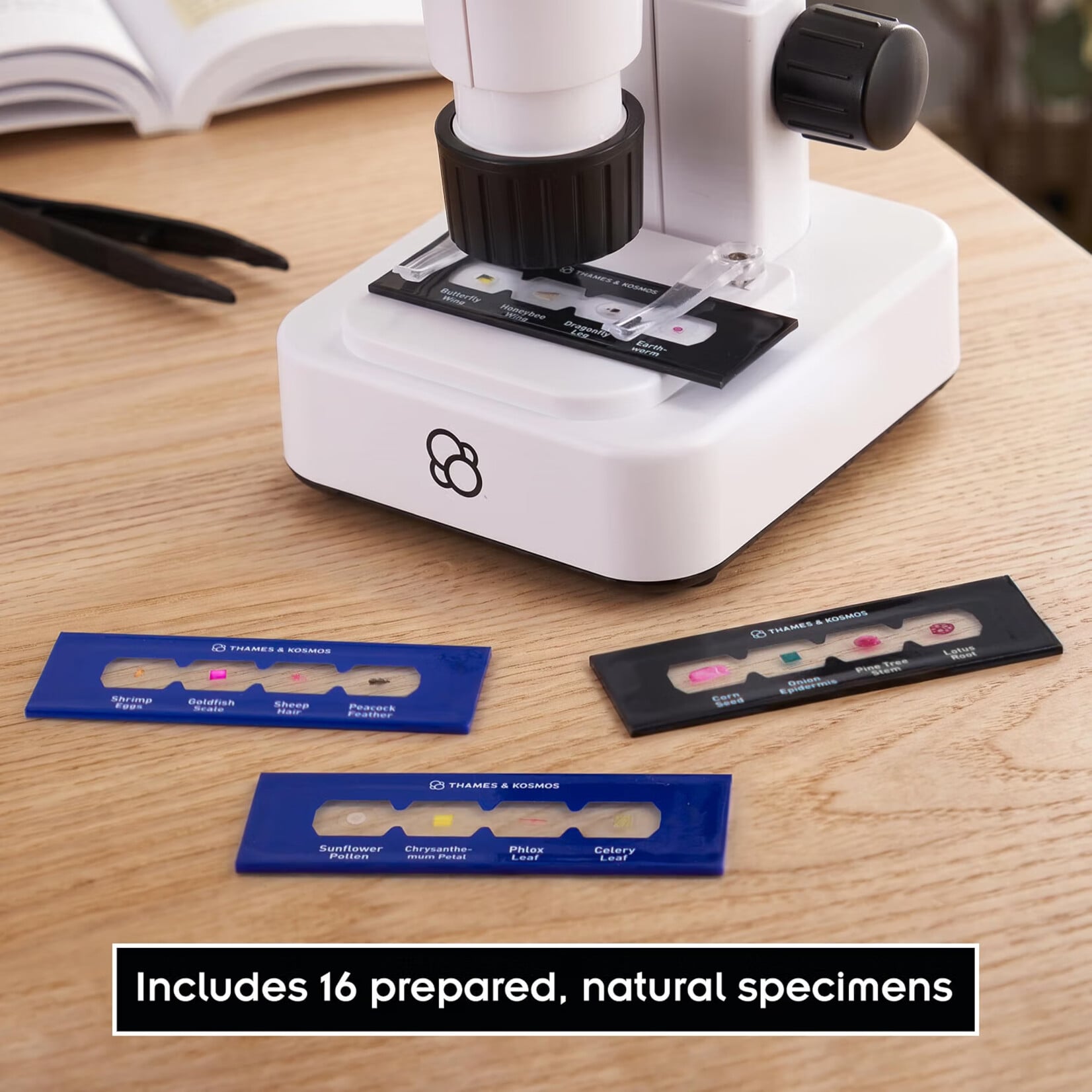 Thames & Kosmos Digital Microscope