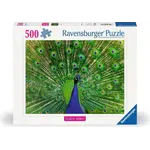 Ravensburger Peacock - 500 Piece