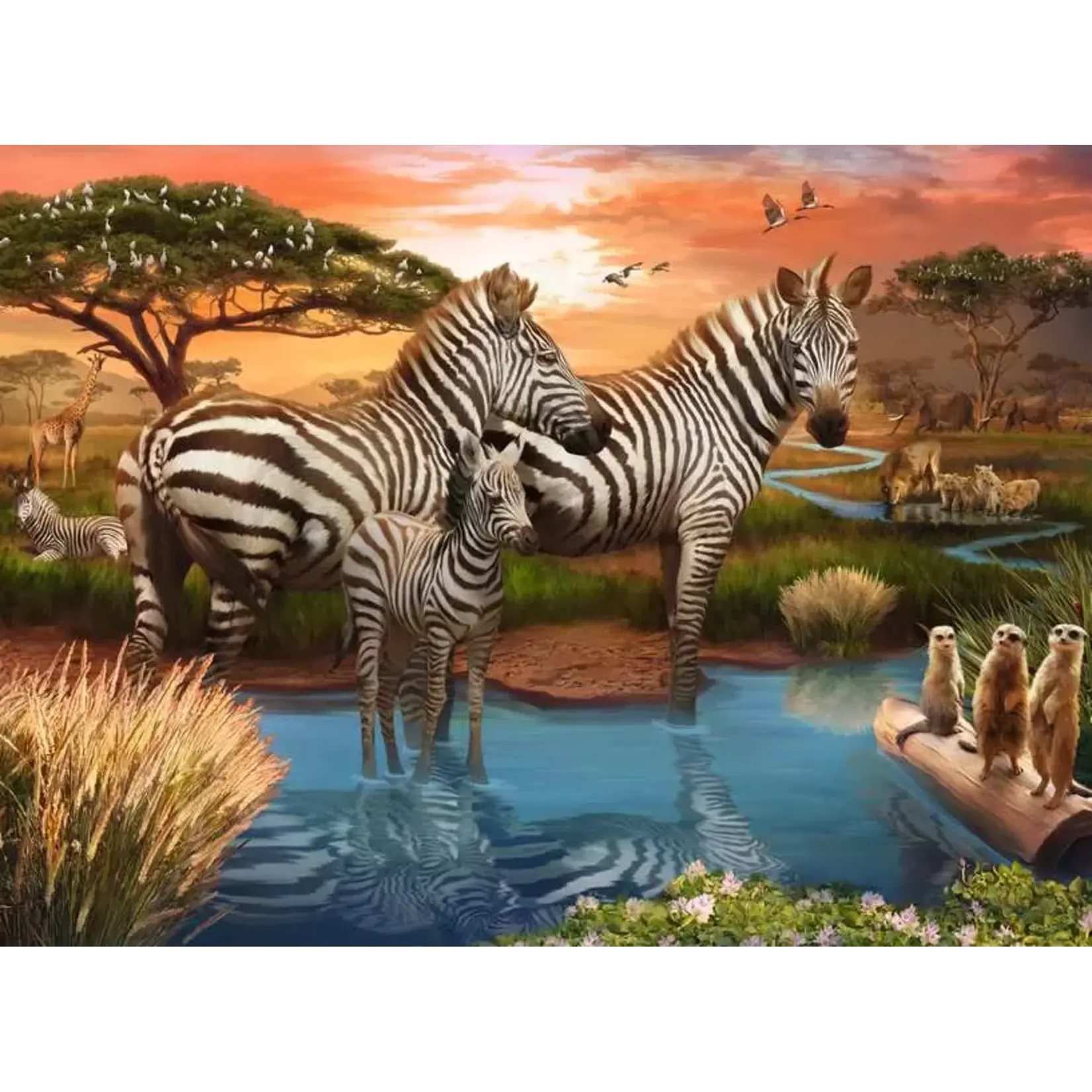 Ravensburger Zebras at the Waterhole - 500 Piece