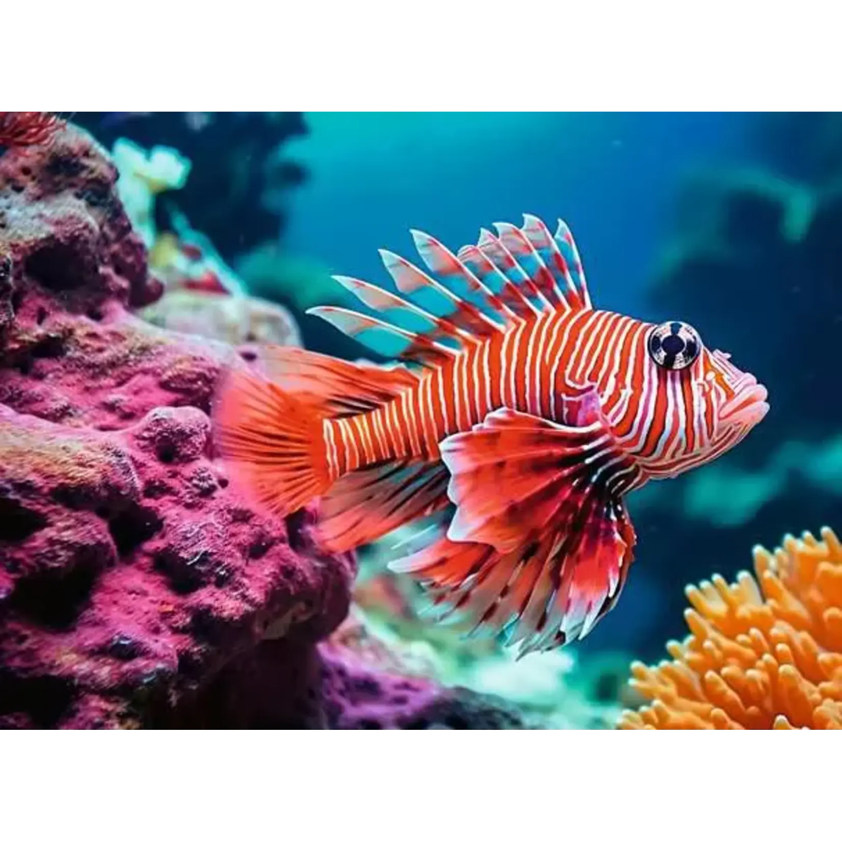 Ravensburger Red Lionfish - 500 Piece